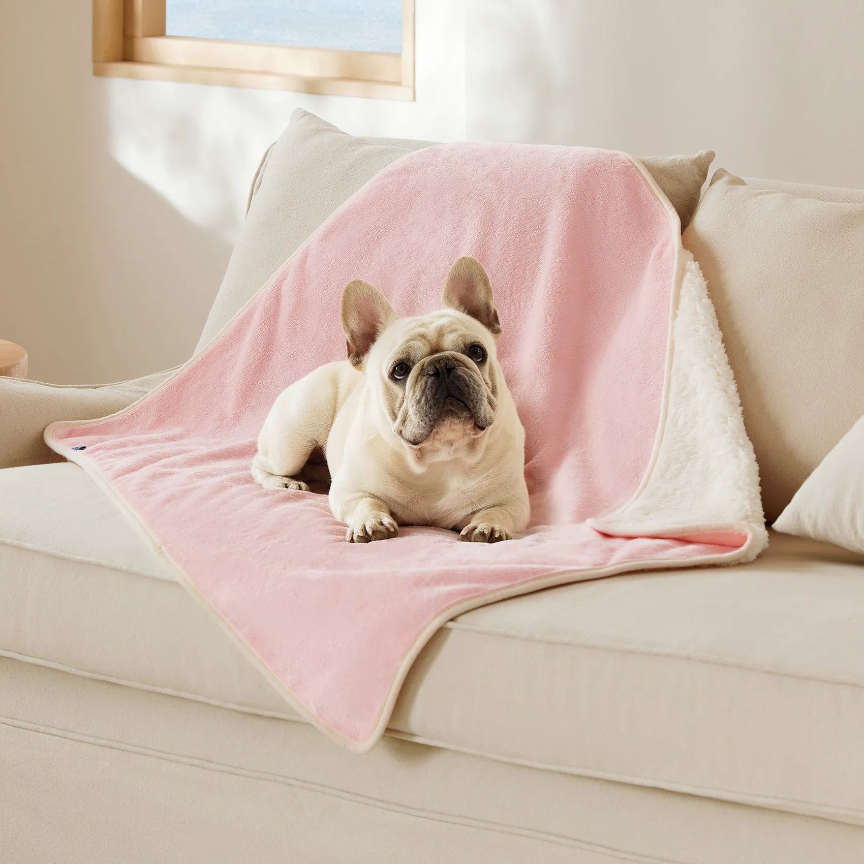 Reversible Sherpa & Microfiber Fleece Dog Blanket