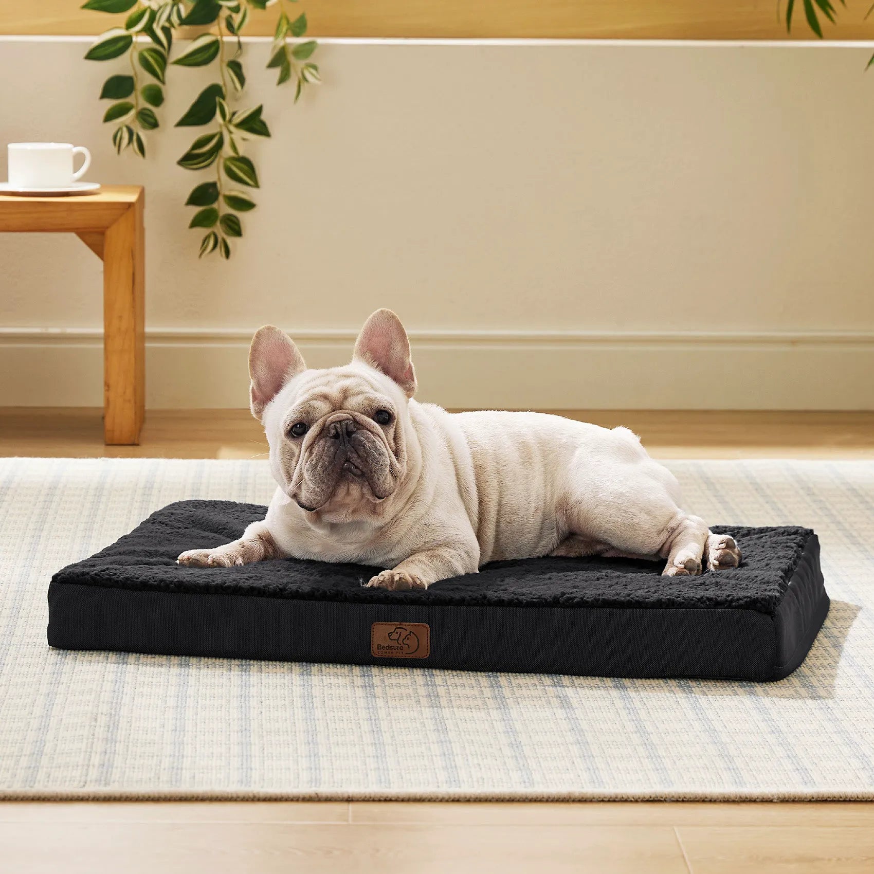 Large Washable Orthopedic Dog Bed