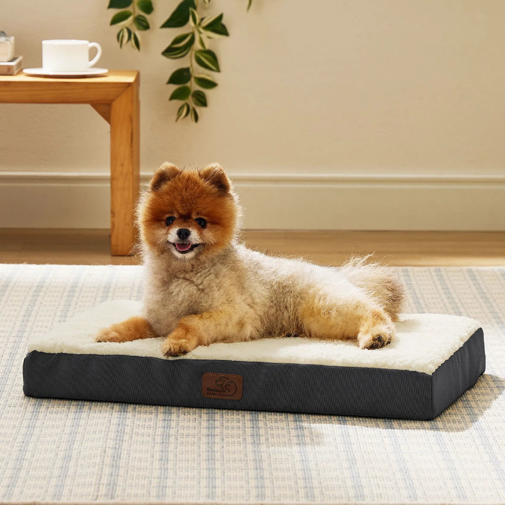 Large Washable Orthopedic Dog Bed
