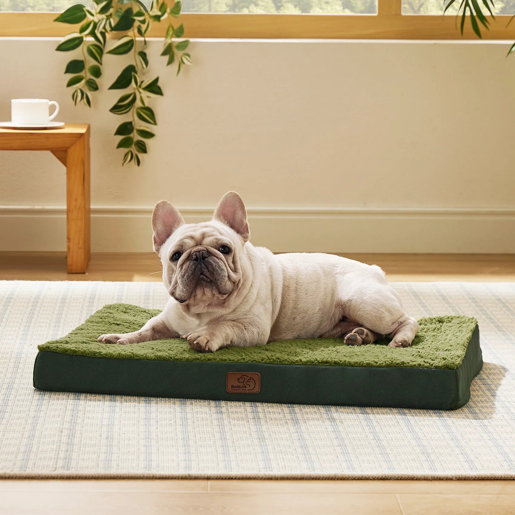 Large Washable Orthopedic Dog Bed
