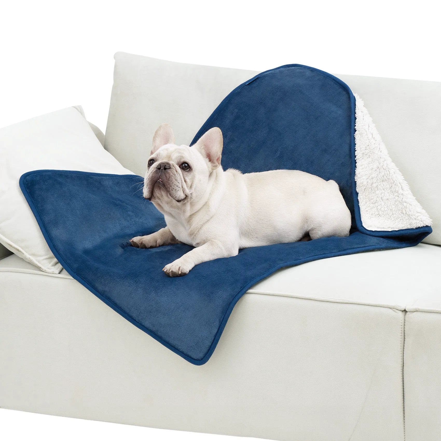 Reversible Sherpa & Microfiber Fleece Dog Blanket