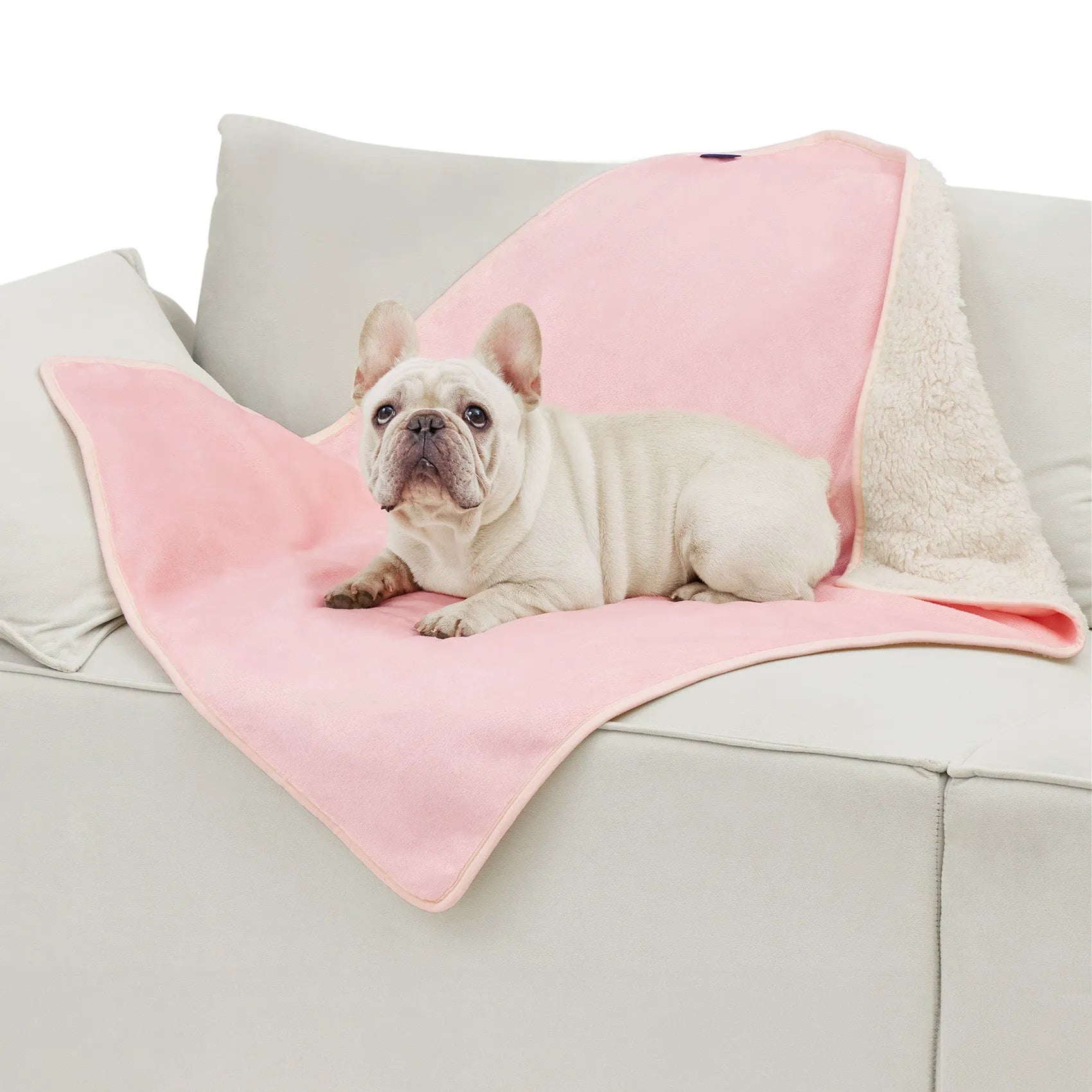 Reversible Sherpa & Microfiber Fleece Dog Blanket