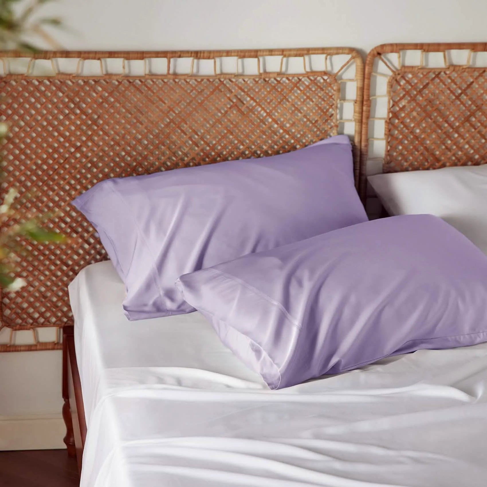 Bamboo Rayon Pillowcases
