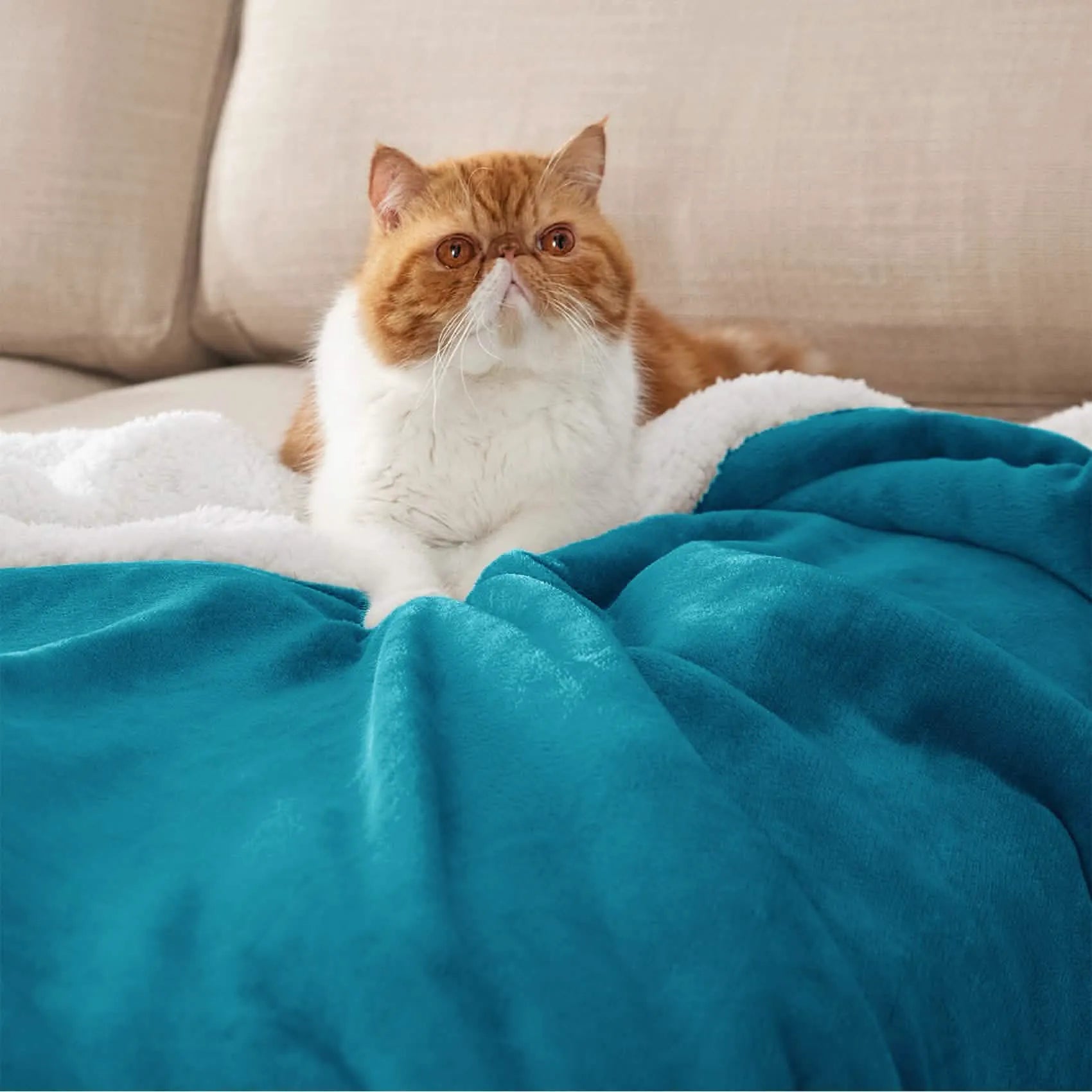 Cozy Sherpa Fleece Throw Blanket