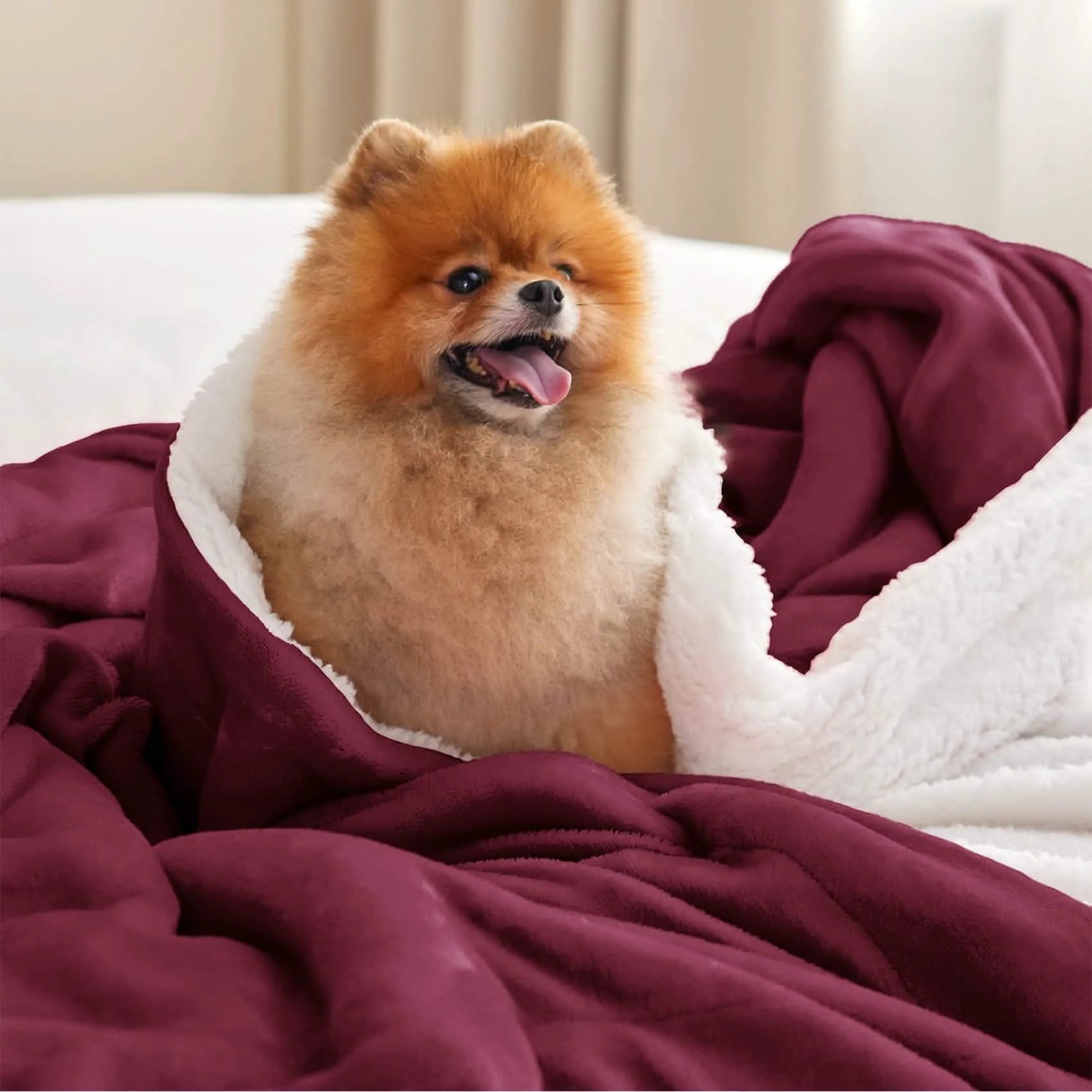 Cozy Sherpa Fleece Throw Blanket