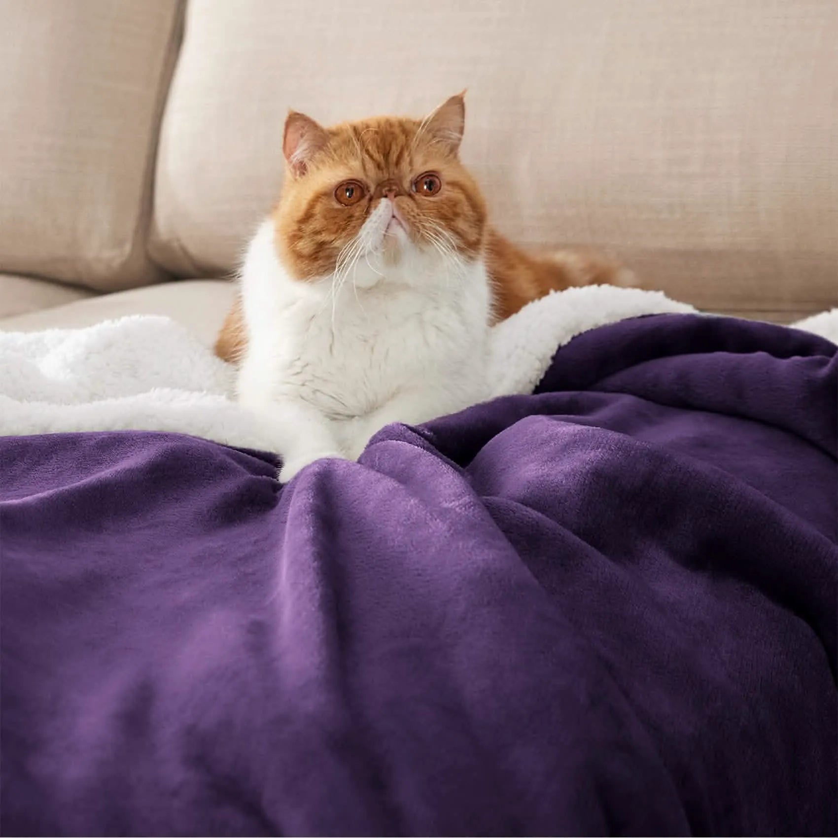 Cozy Sherpa Fleece Throw Blanket