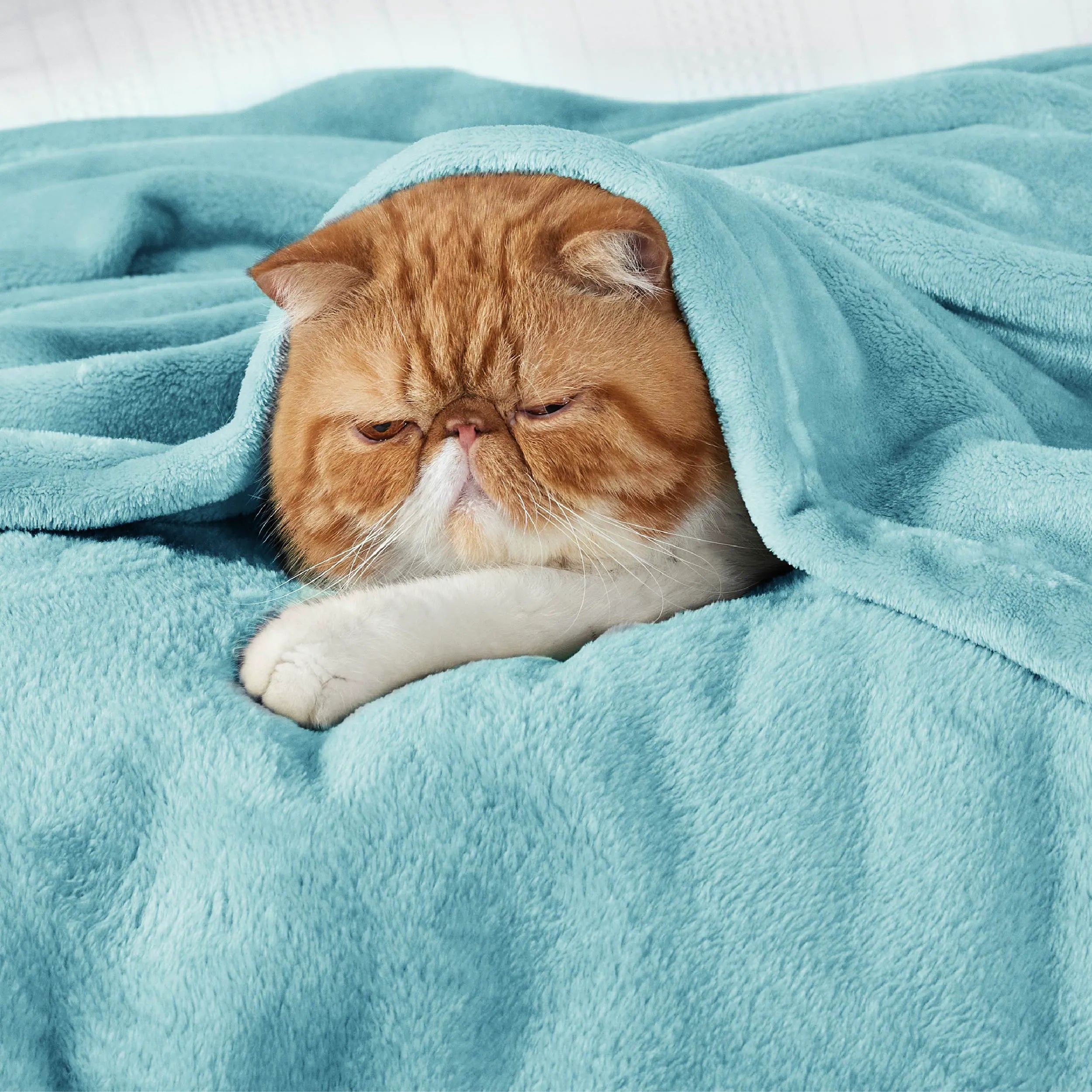280gsm Flannel Fleece Blanket