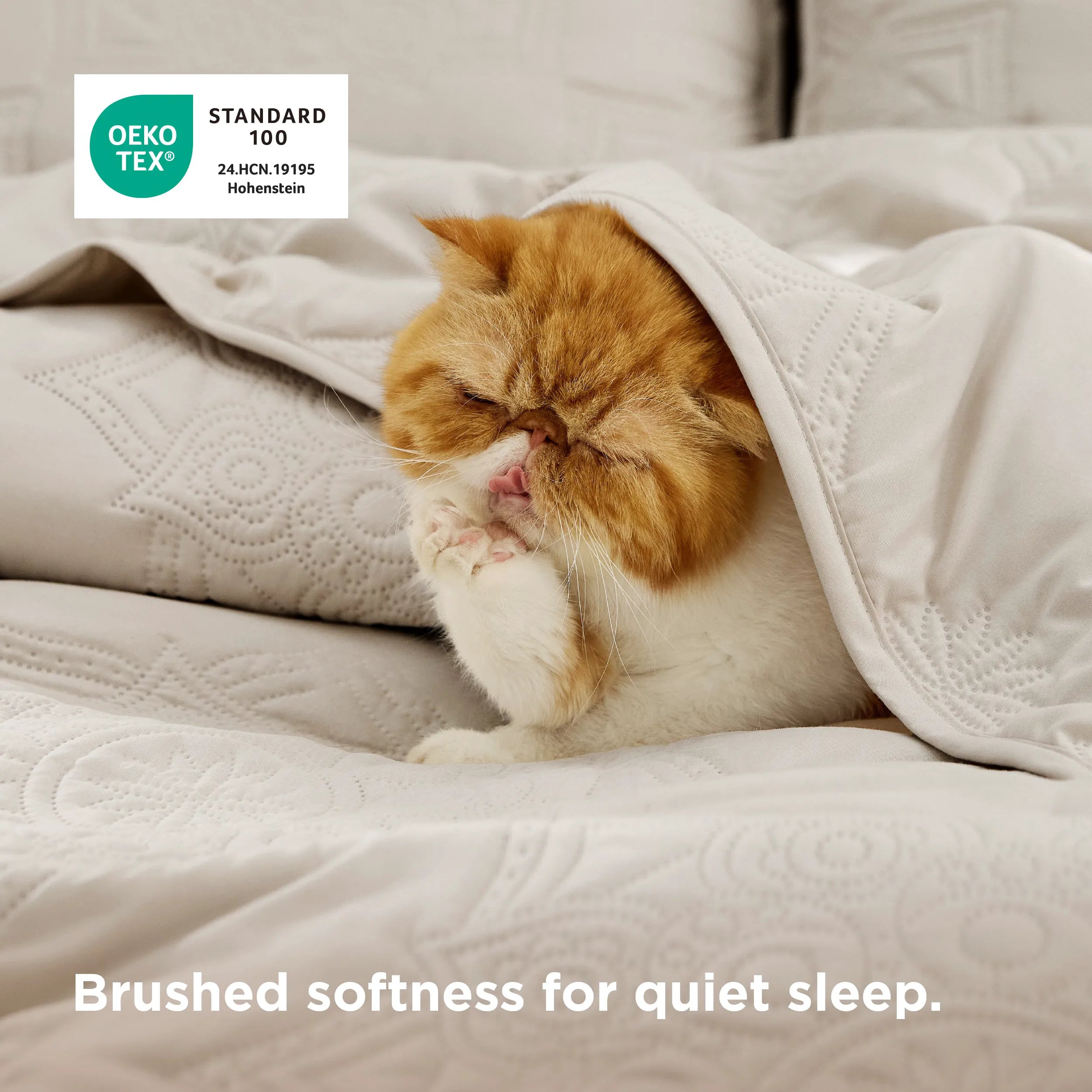 Ultrasonic Quilt Set