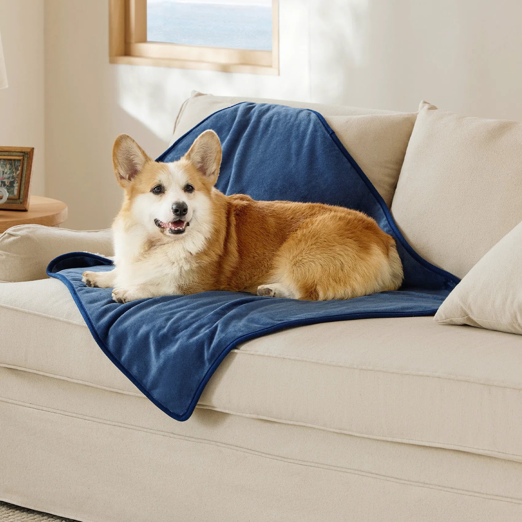 Reversible Sherpa & Microfiber Fleece Dog Blanket