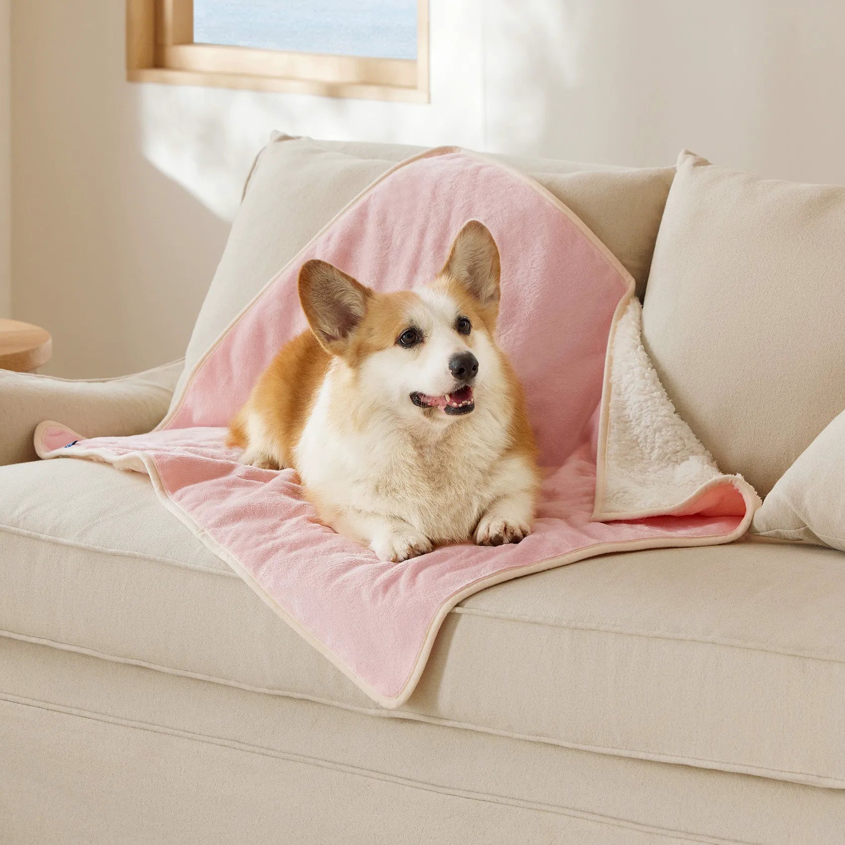 Reversible Sherpa & Microfiber Fleece Dog Blanket