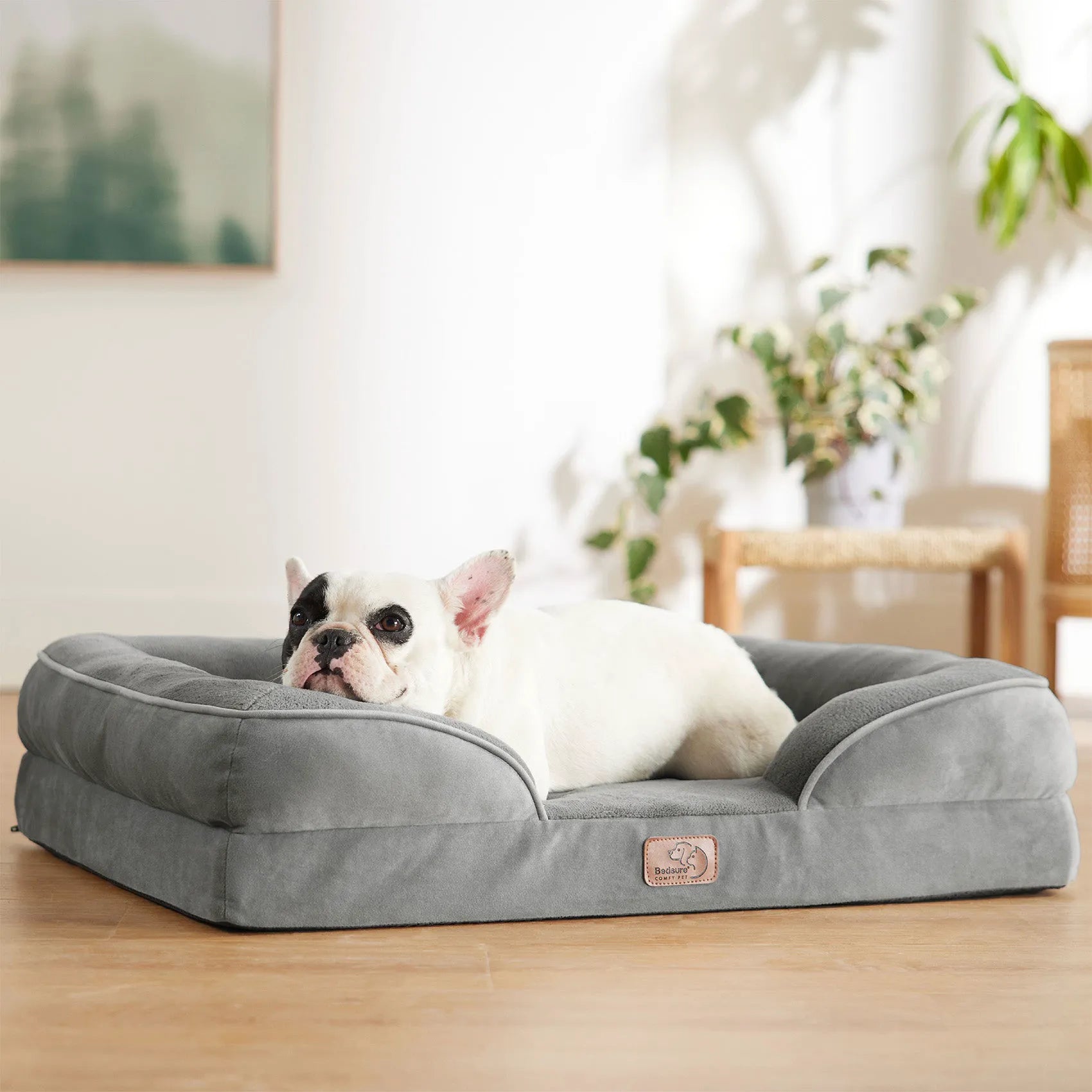Orthopedic Dog Couch