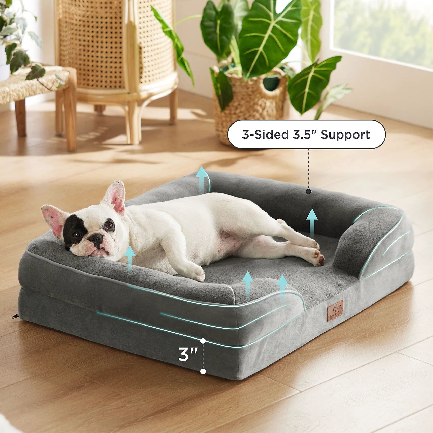 Orthopedic Dog Couch
