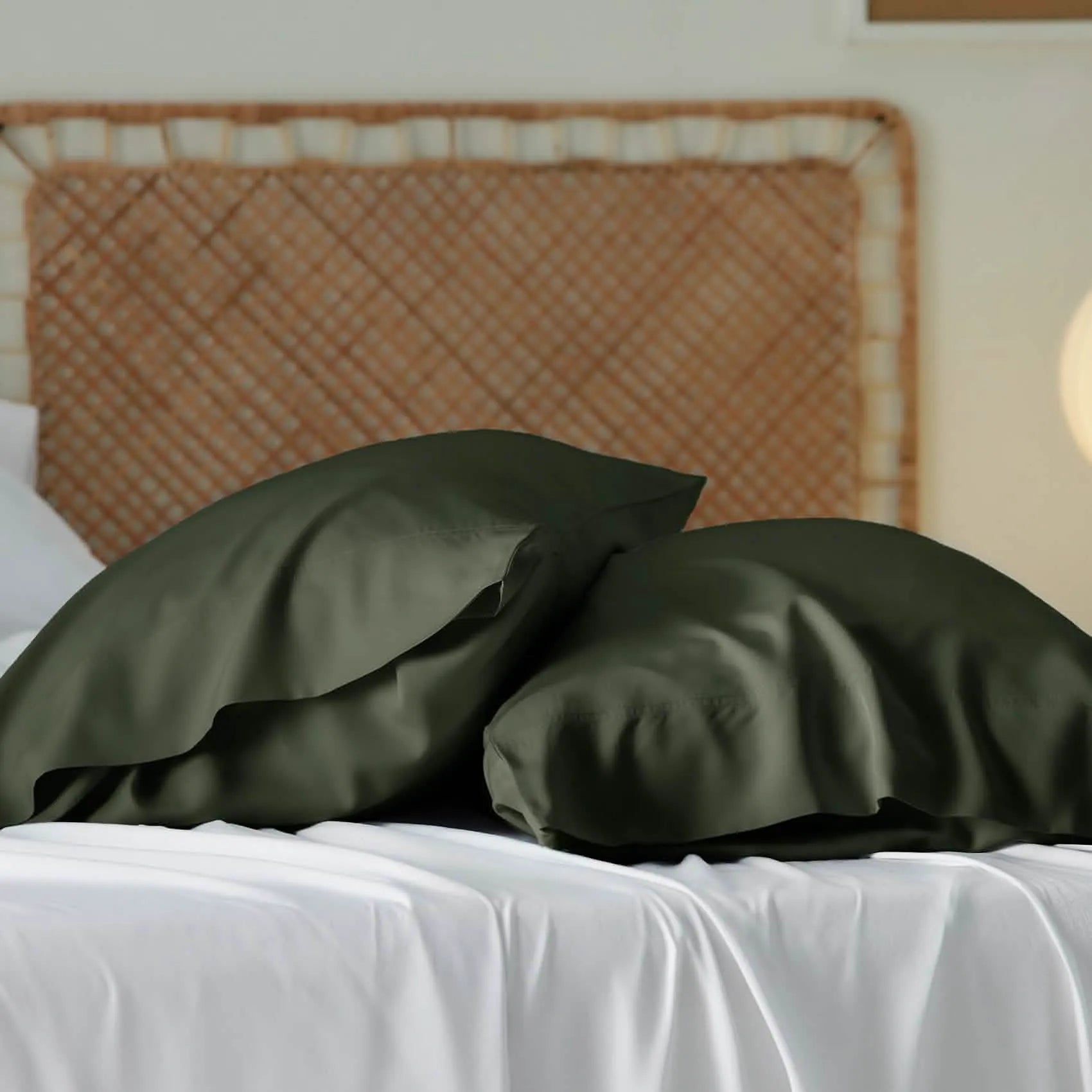 Bamboo Rayon Pillowcases