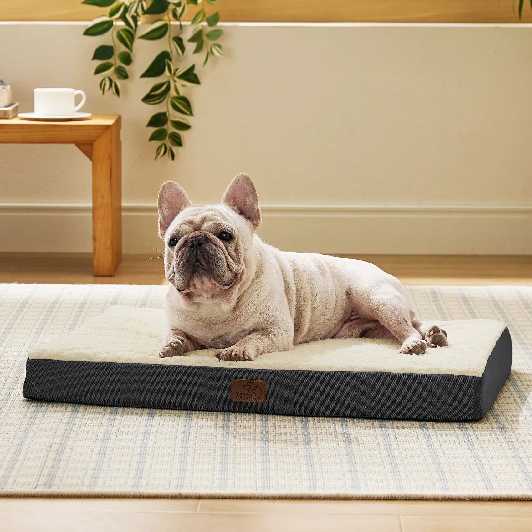 Large Washable Orthopedic Dog Bed