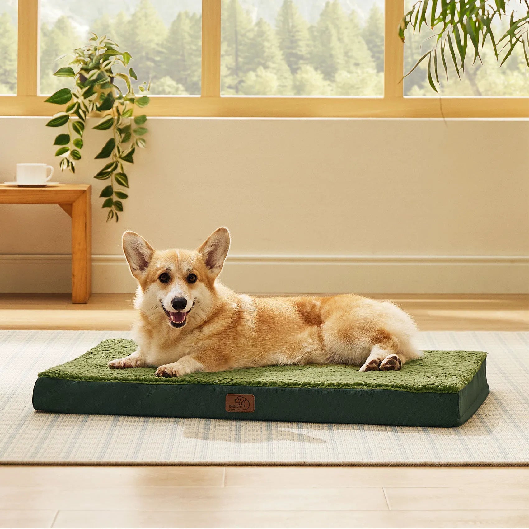 Large Washable Orthopedic Dog Bed