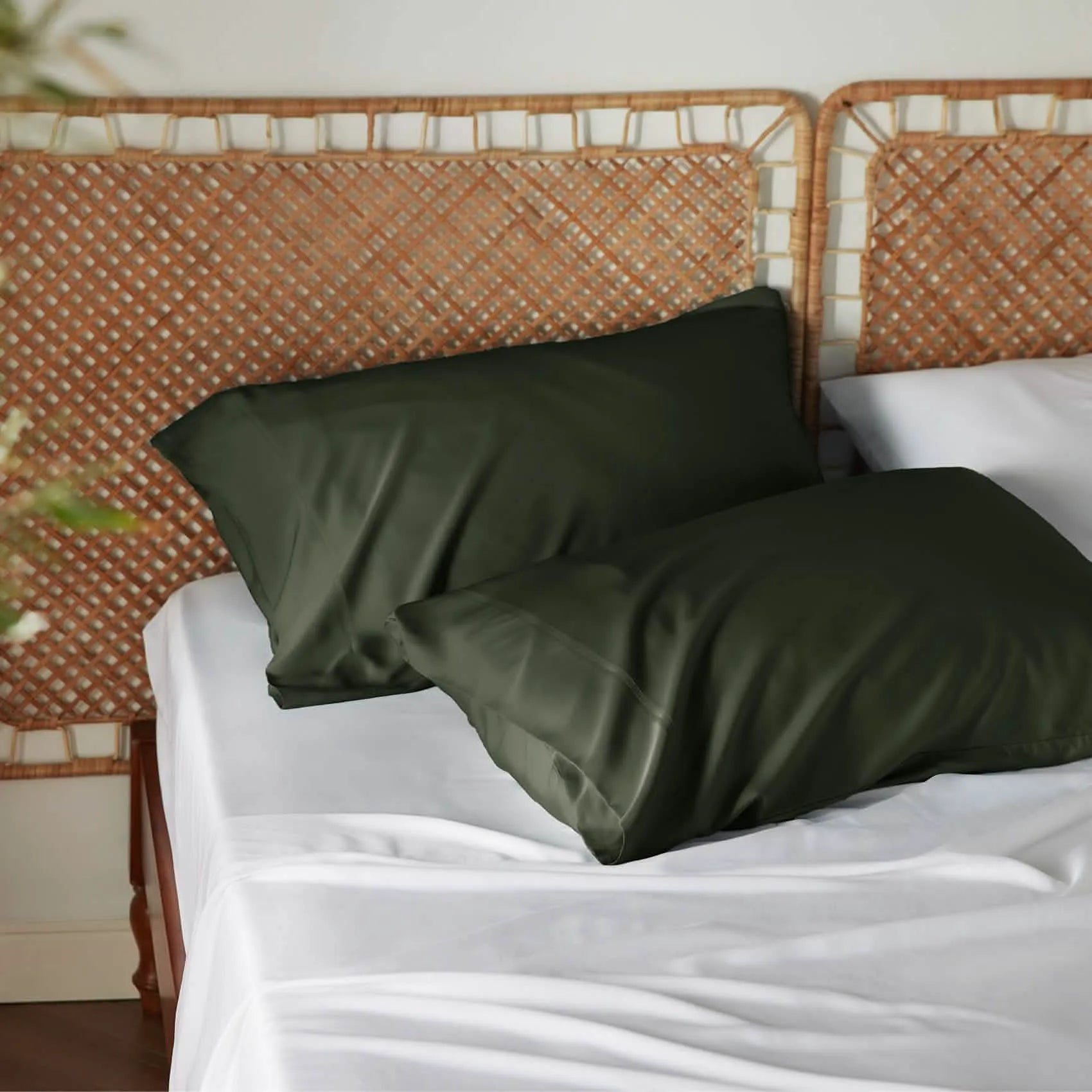 Bamboo Rayon Pillowcases