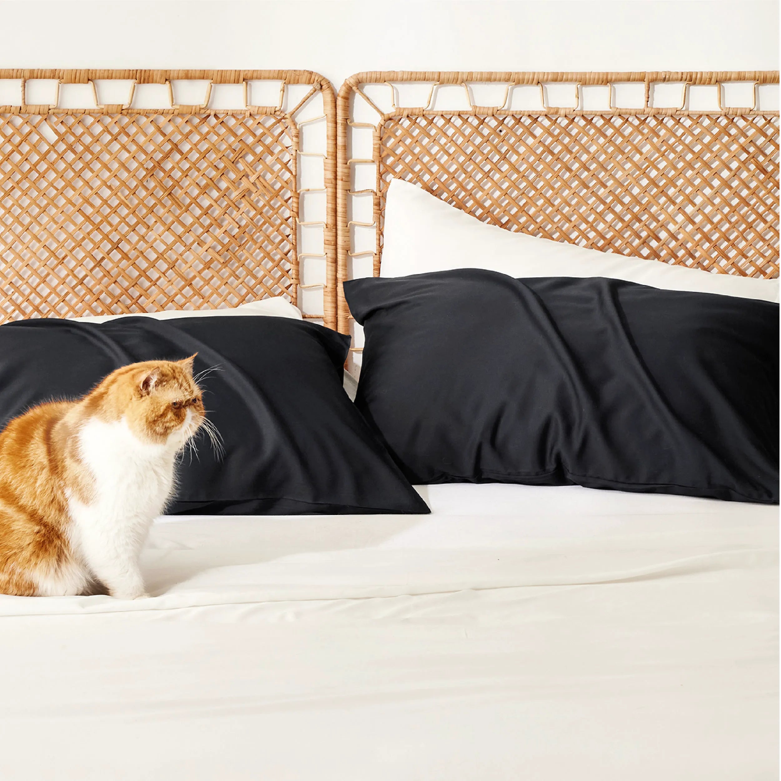 Bamboo Rayon Pillowcases