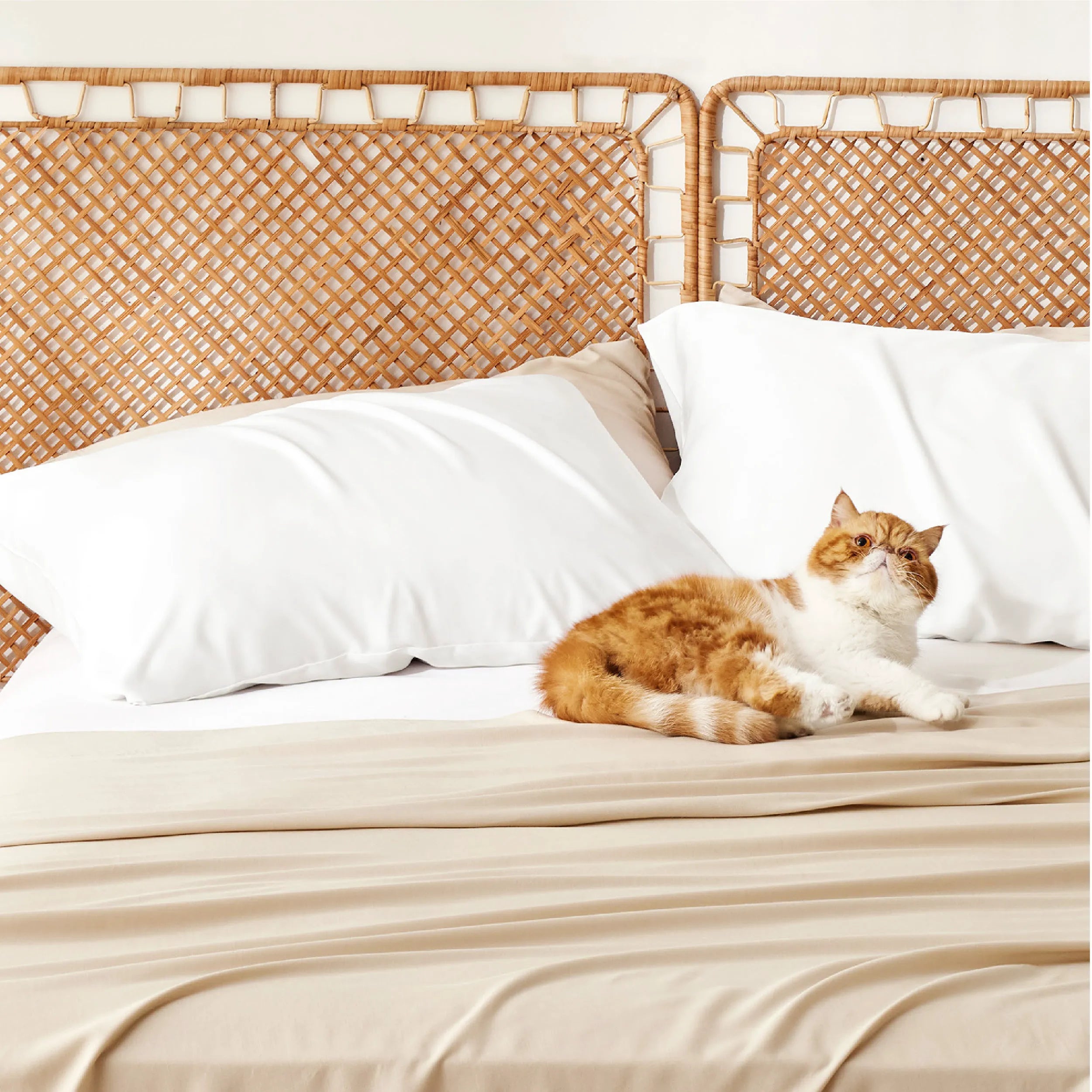Bamboo Rayon Pillowcases