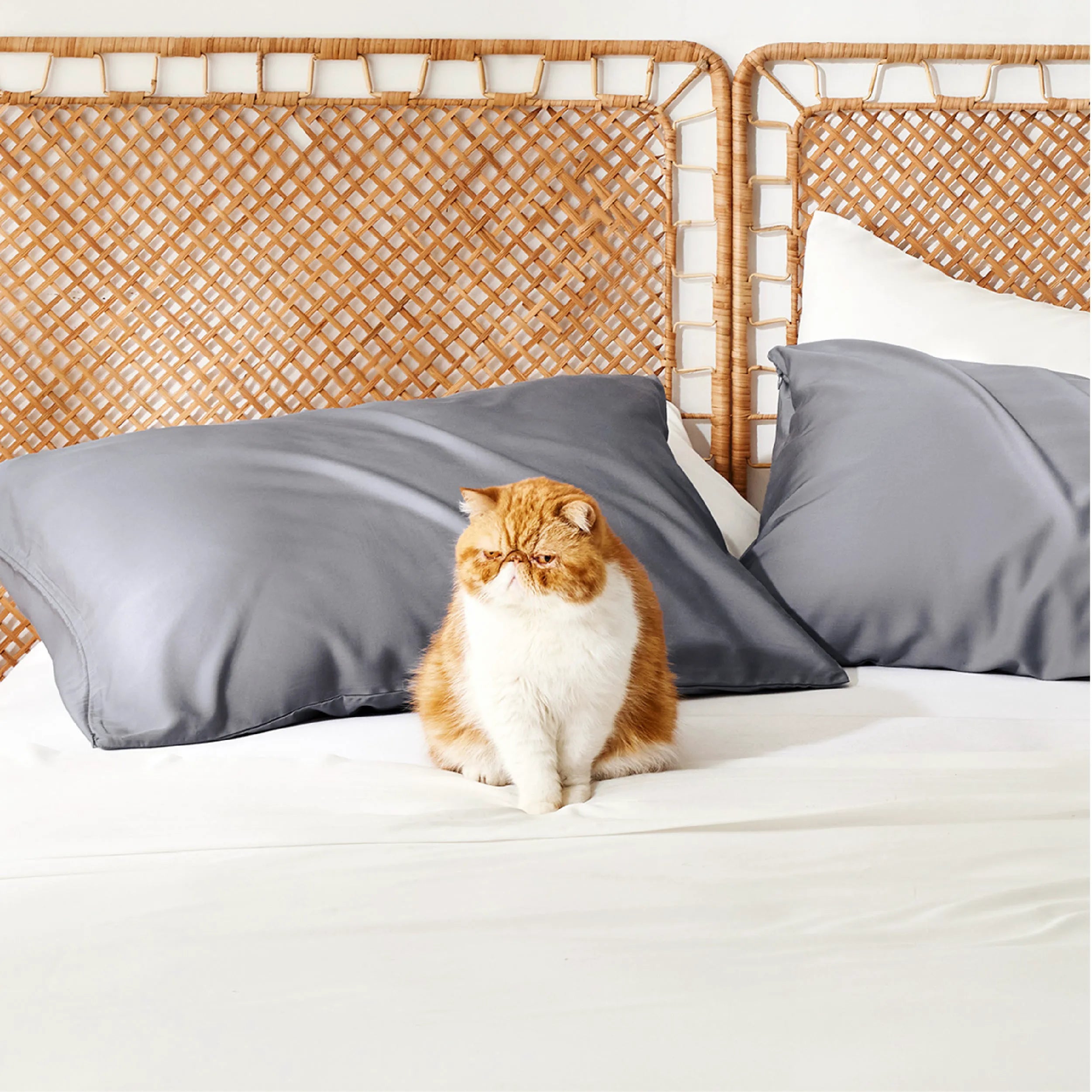 Bamboo Rayon Pillowcases