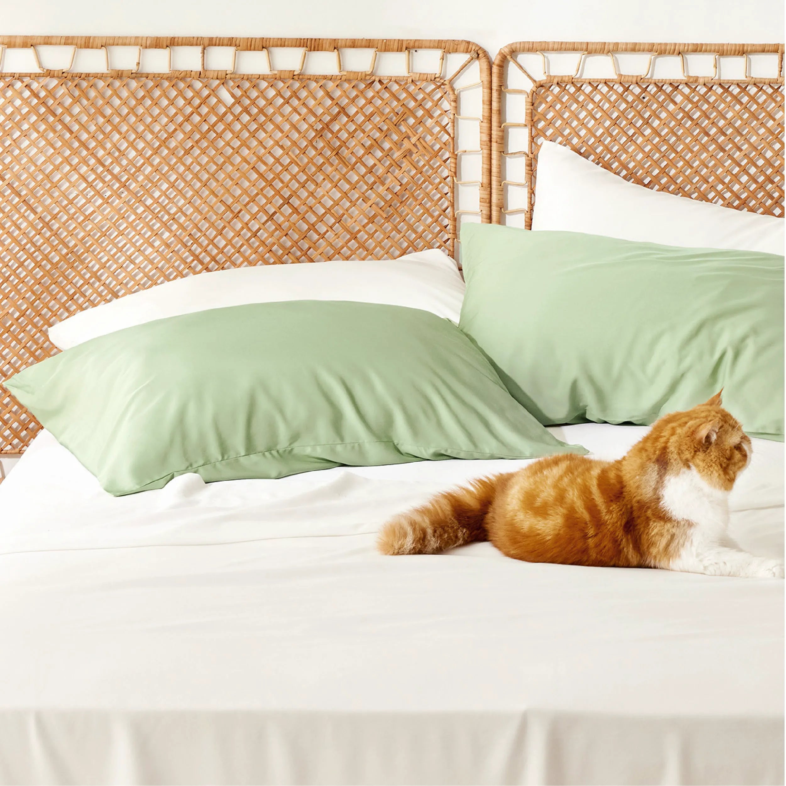 Bamboo Rayon Pillowcases