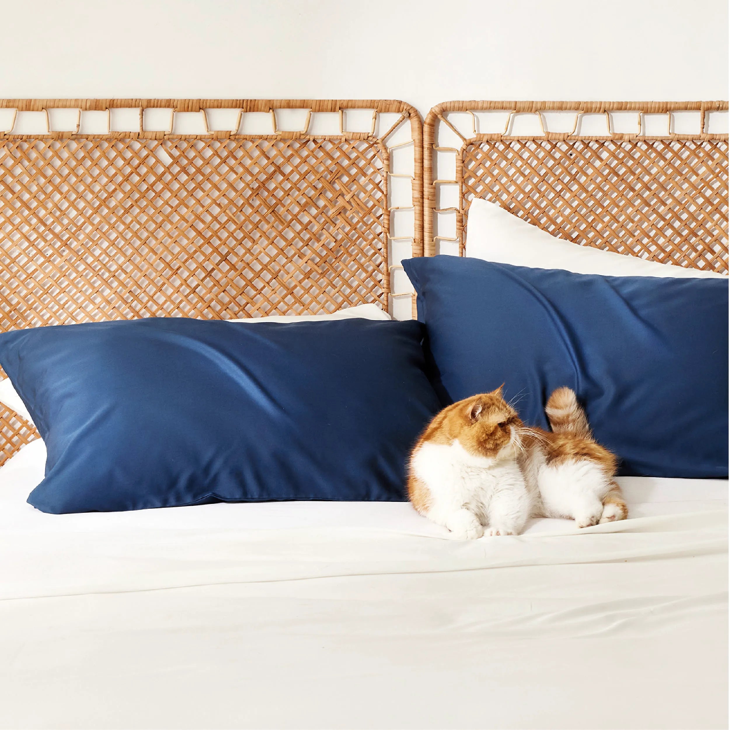 Bamboo Rayon Pillowcases