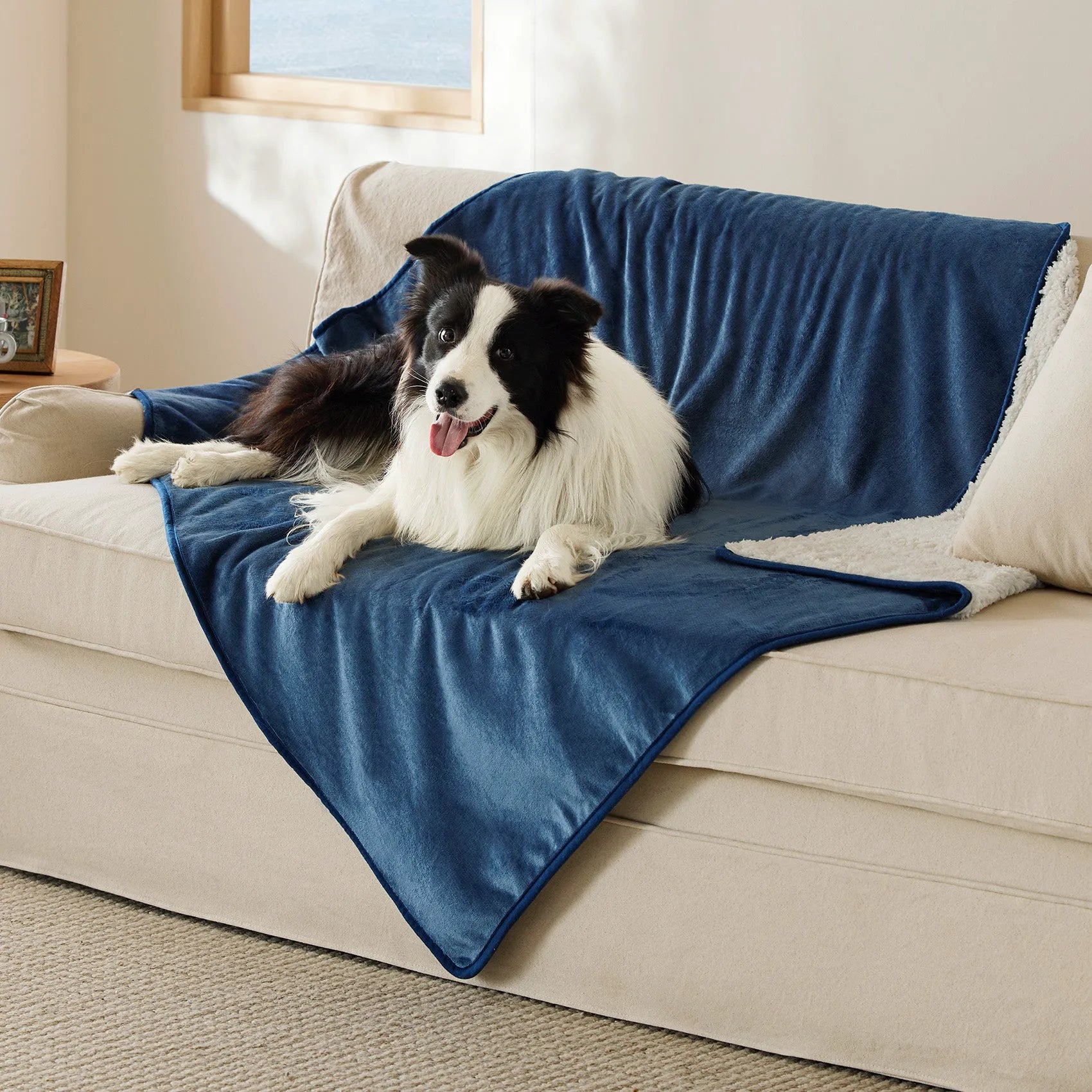 Reversible Sherpa & Microfiber Fleece Dog Blanket