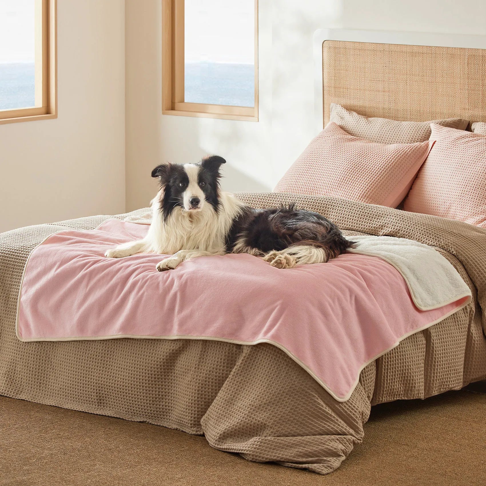 Reversible Sherpa & Microfiber Fleece Dog Blanket