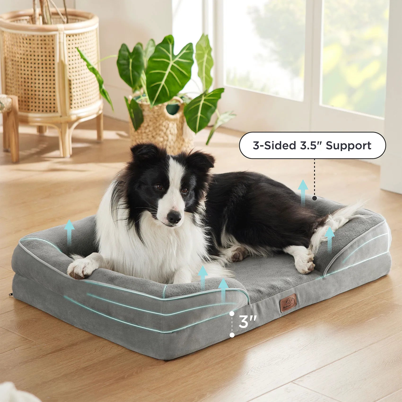 Orthopedic Dog Couch