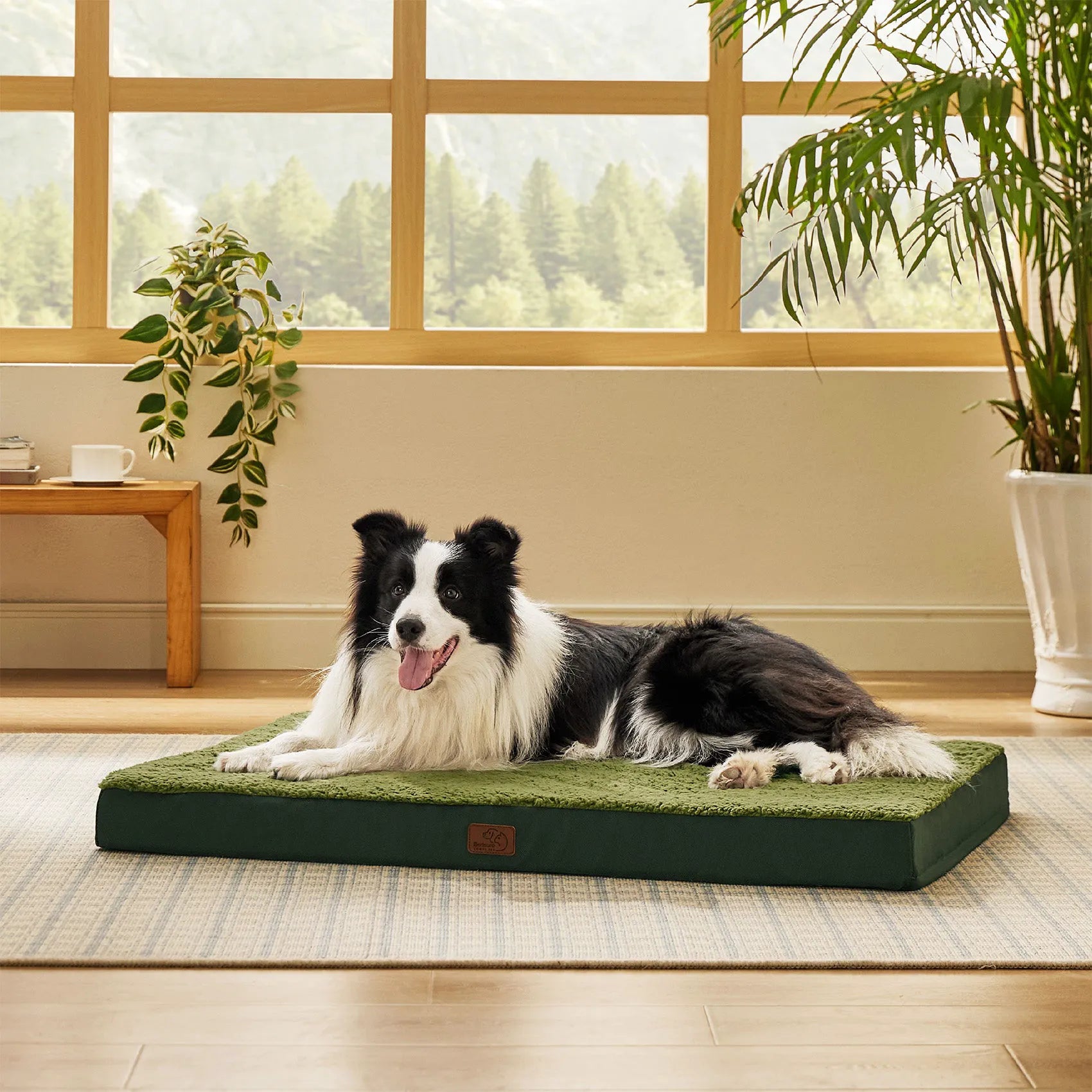 Large Washable Orthopedic Dog Bed
