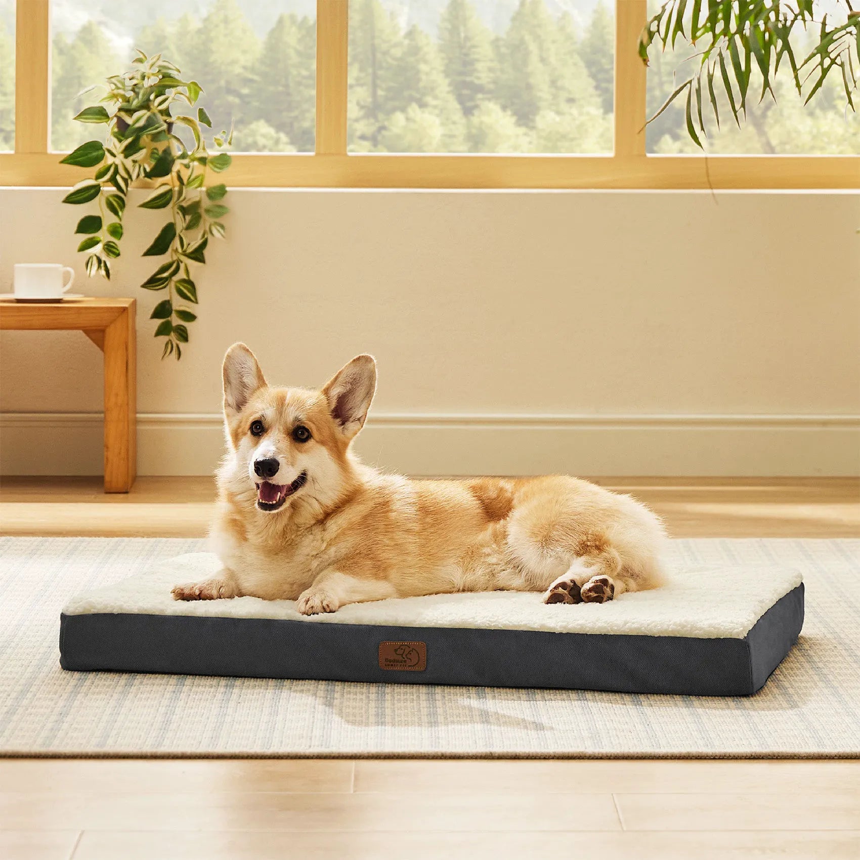 Large Washable Orthopedic Dog Bed