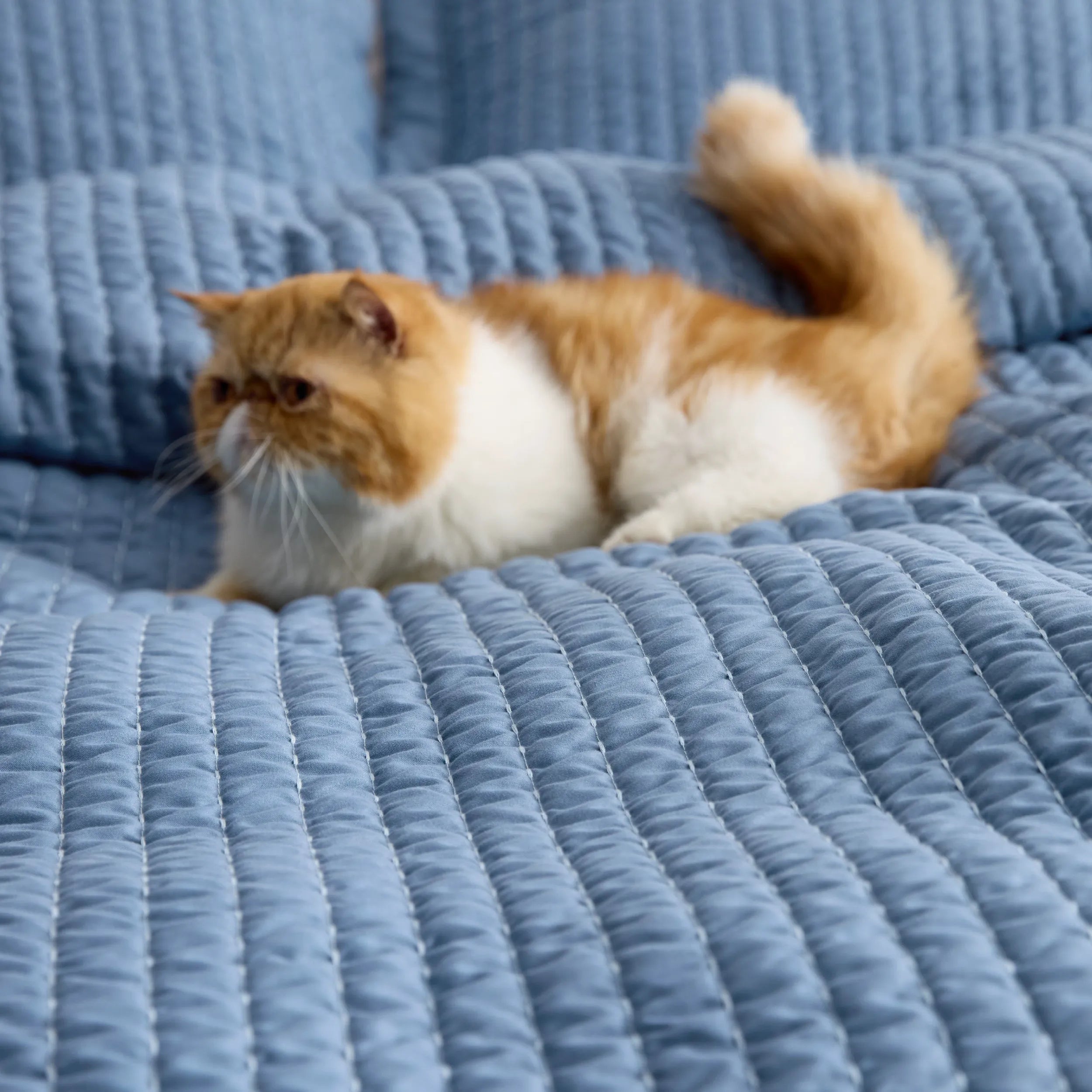 Corduroy Quilt Set