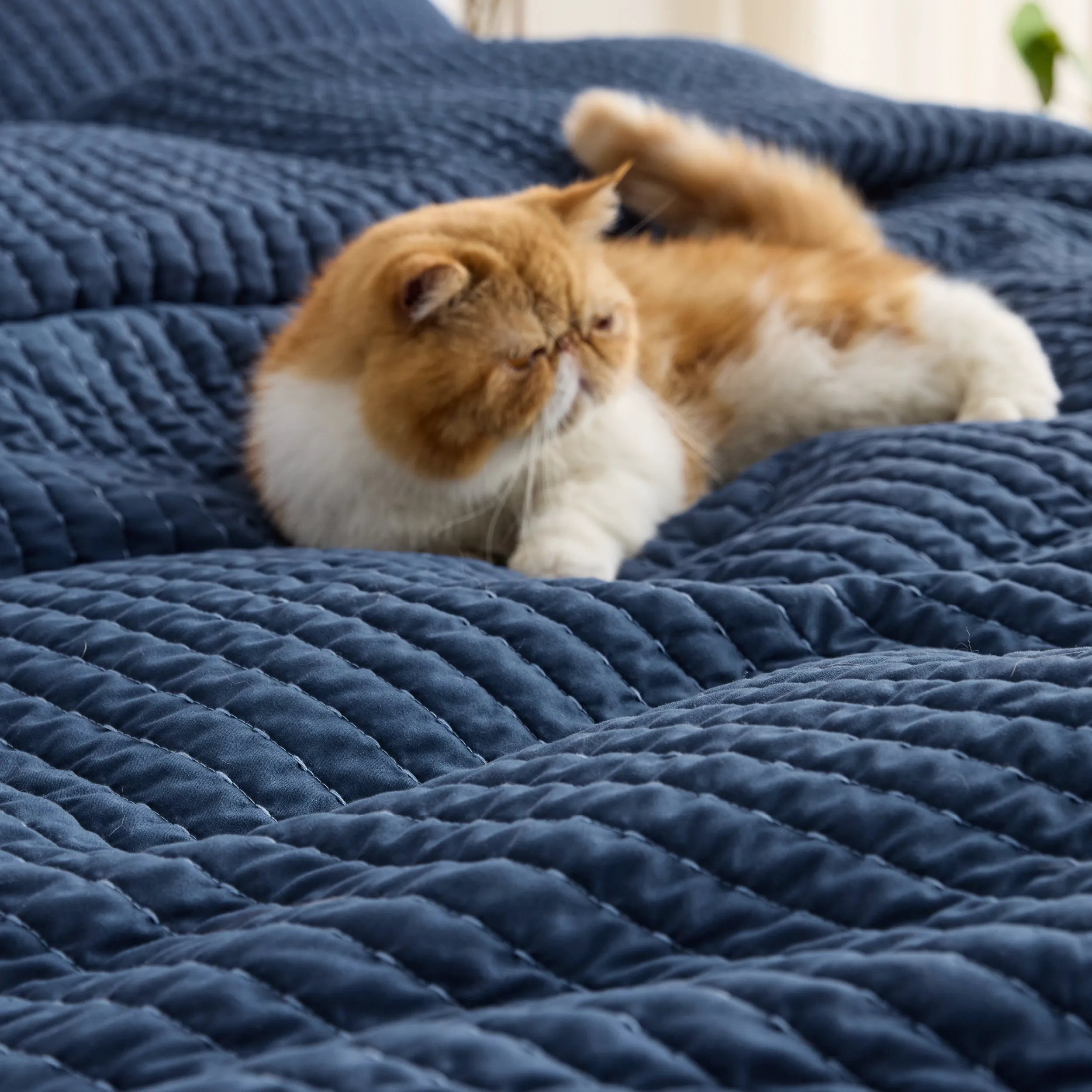 Corduroy Quilt Set