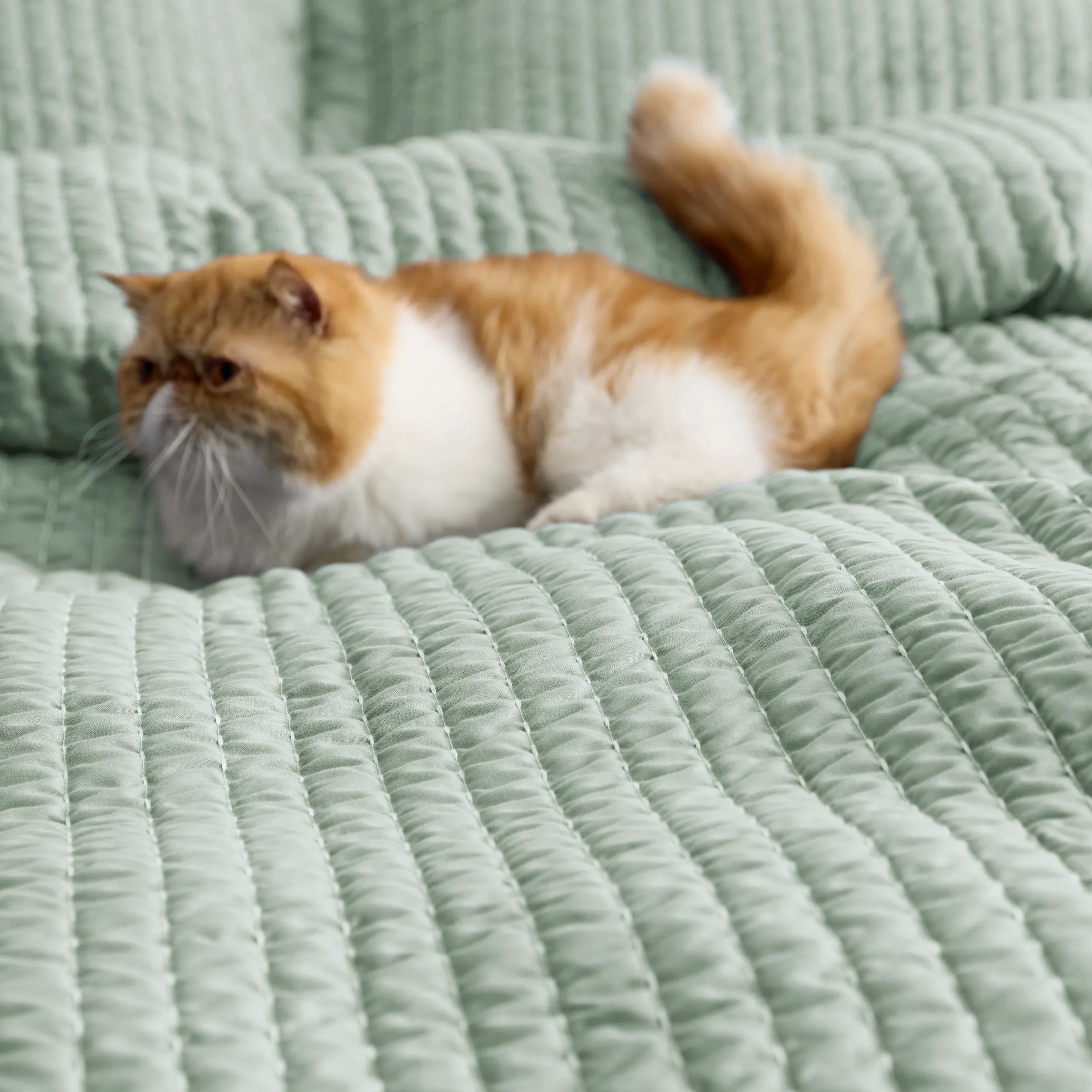 Corduroy Quilt Set