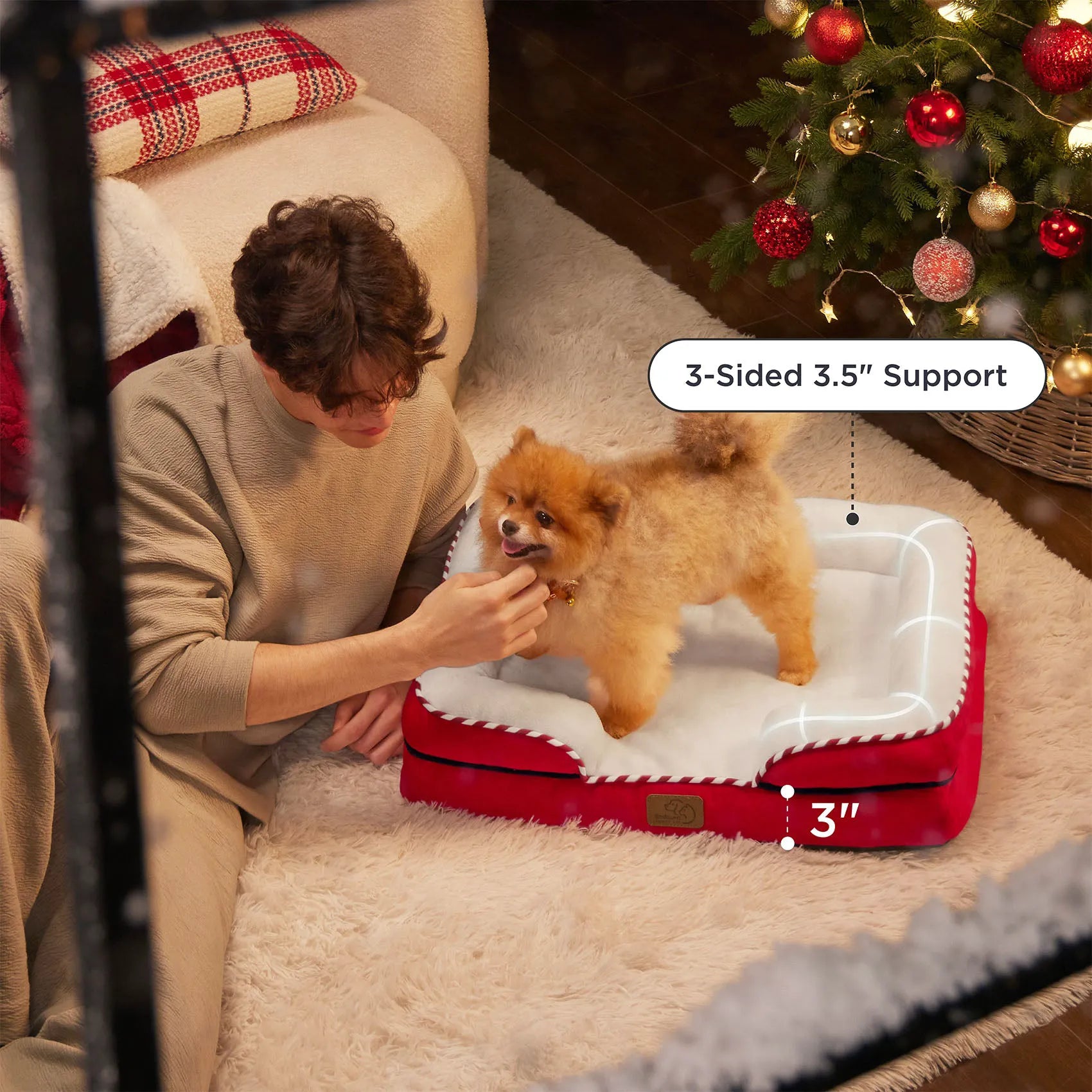 Orthopedic Dog Couch
