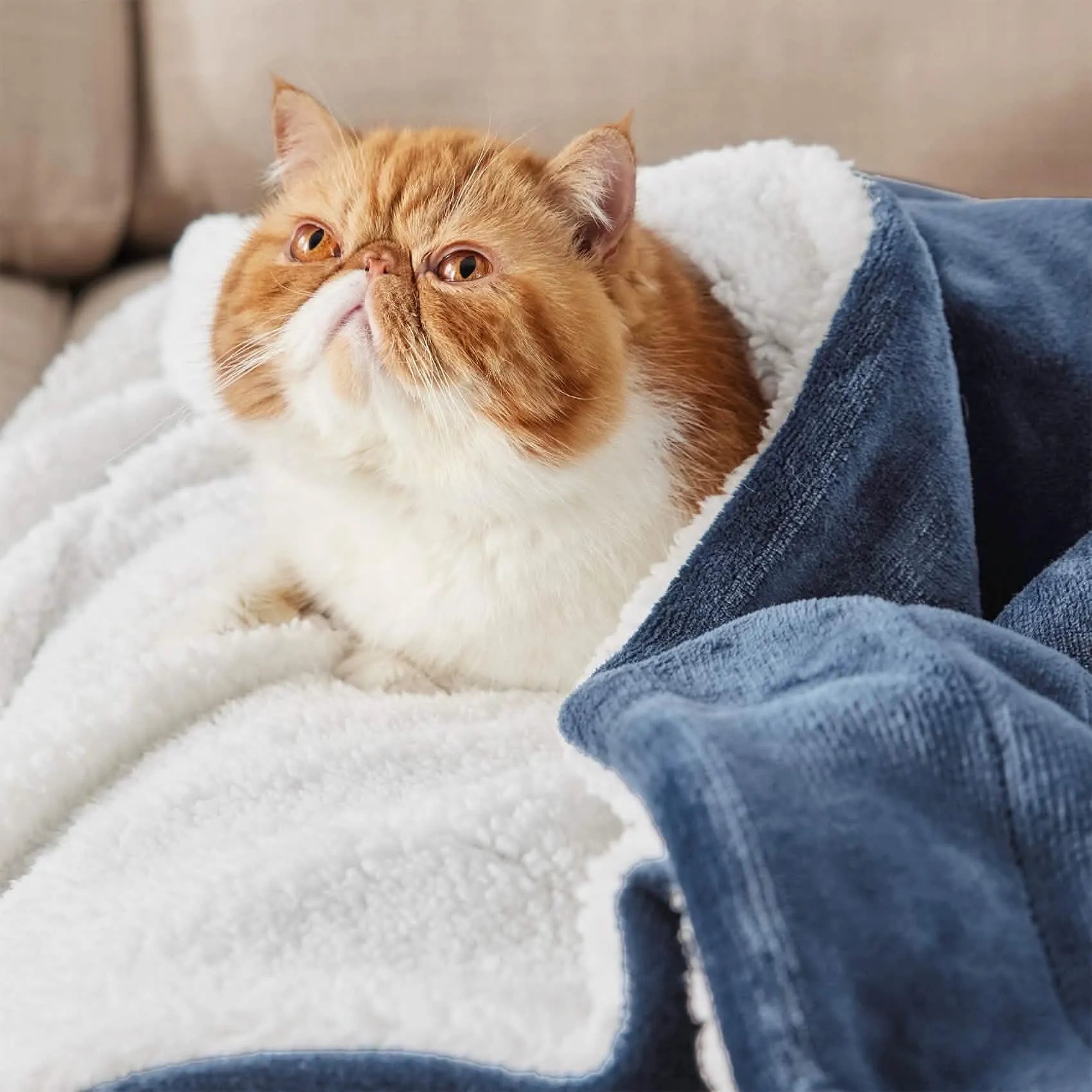 Cozy Sherpa Fleece Throw Blanket