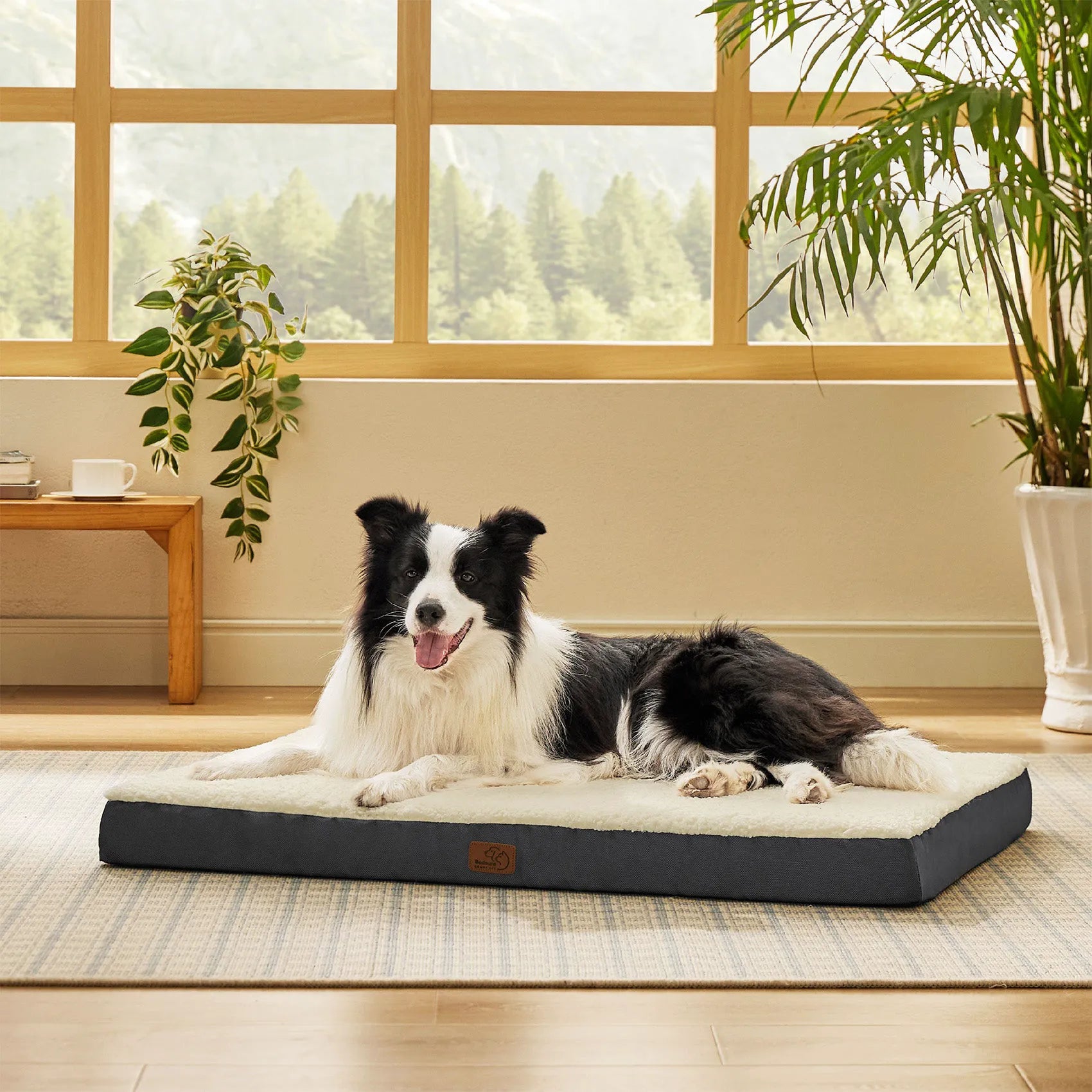 Large Washable Orthopedic Dog Bed