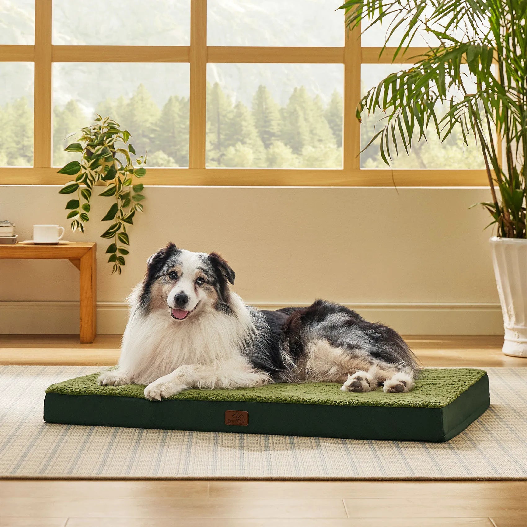 Large Washable Orthopedic Dog Bed