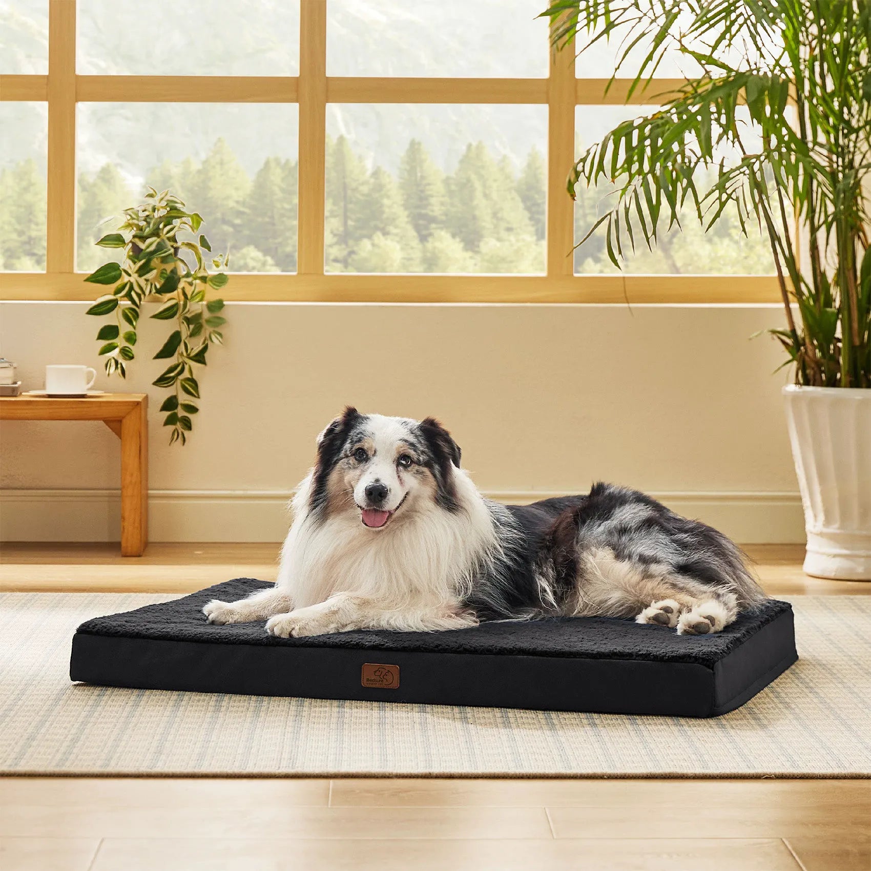 Large Washable Orthopedic Dog Bed