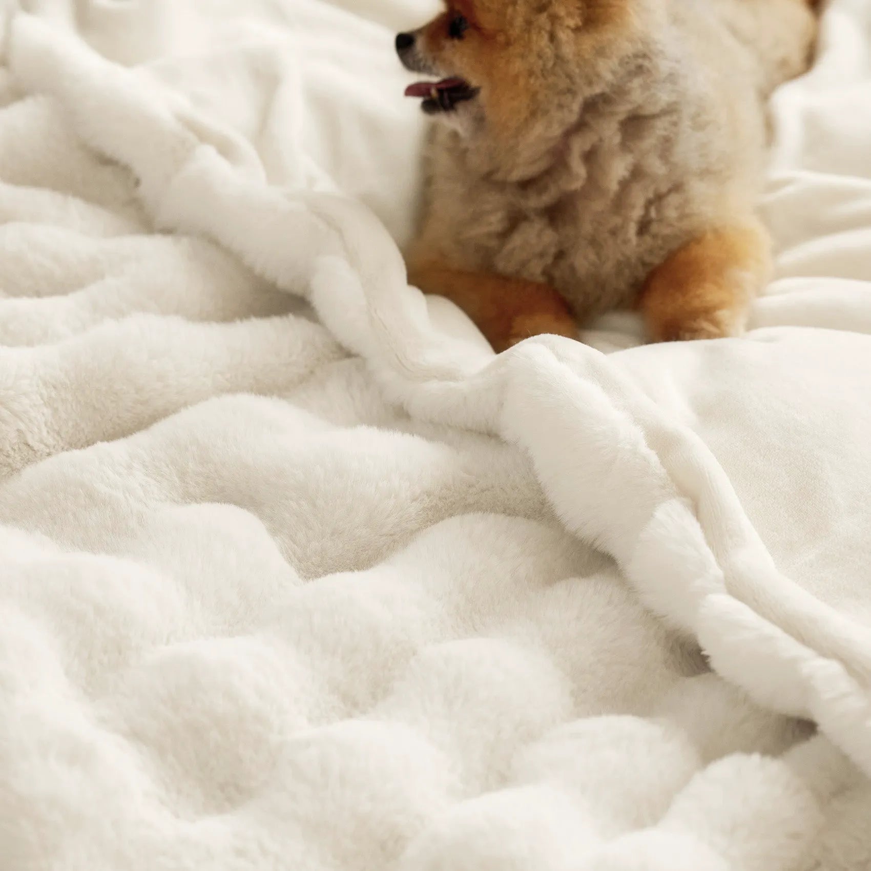 Faux Fur Bubble Blanket