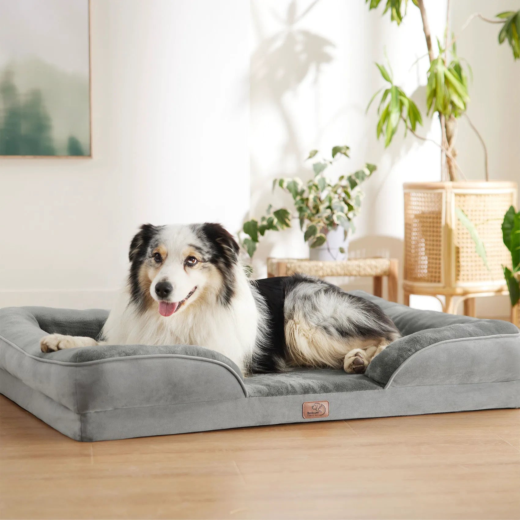 Orthopedic Dog Couch