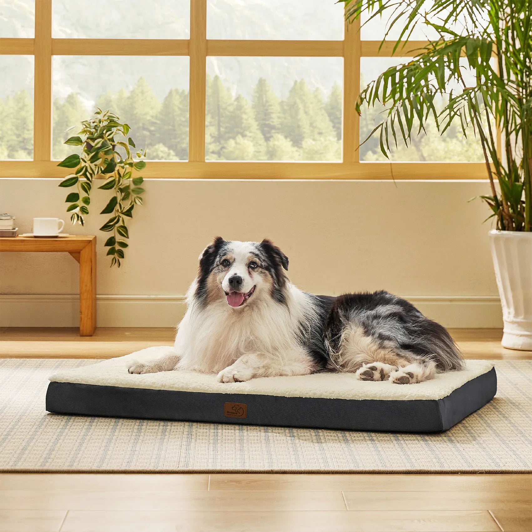 Large Washable Orthopedic Dog Bed
