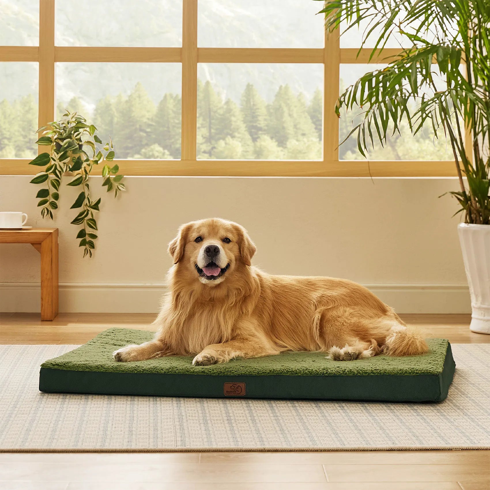 Large Washable Orthopedic Dog Bed