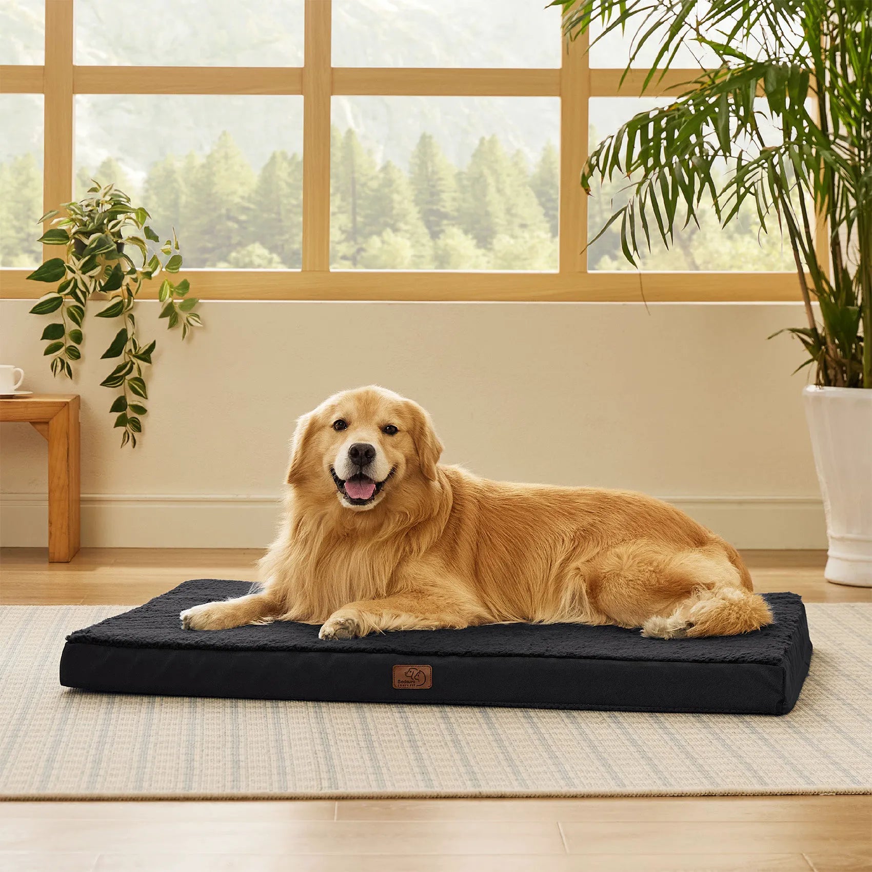 Large Washable Orthopedic Dog Bed