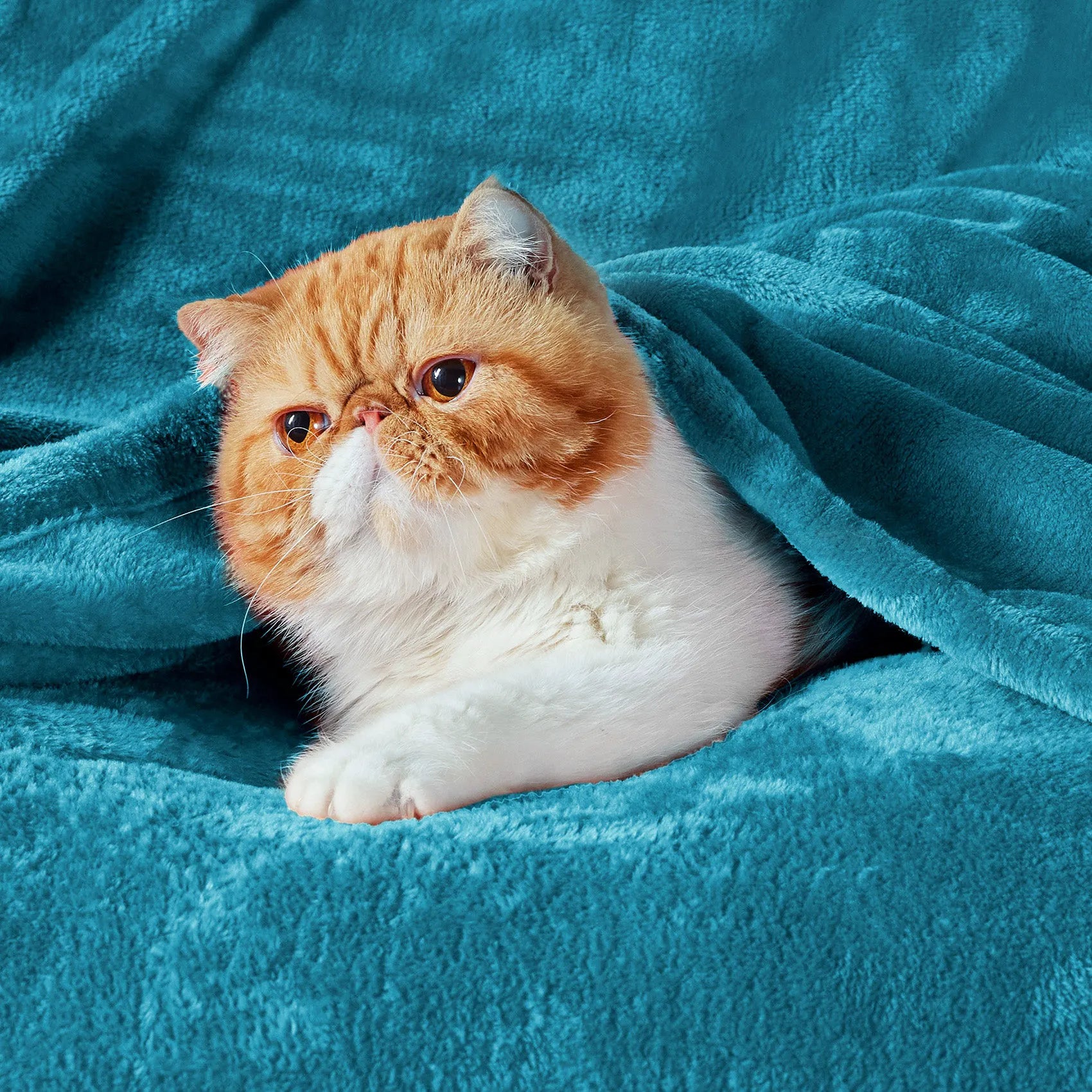 280gsm Flannel Fleece Blanket