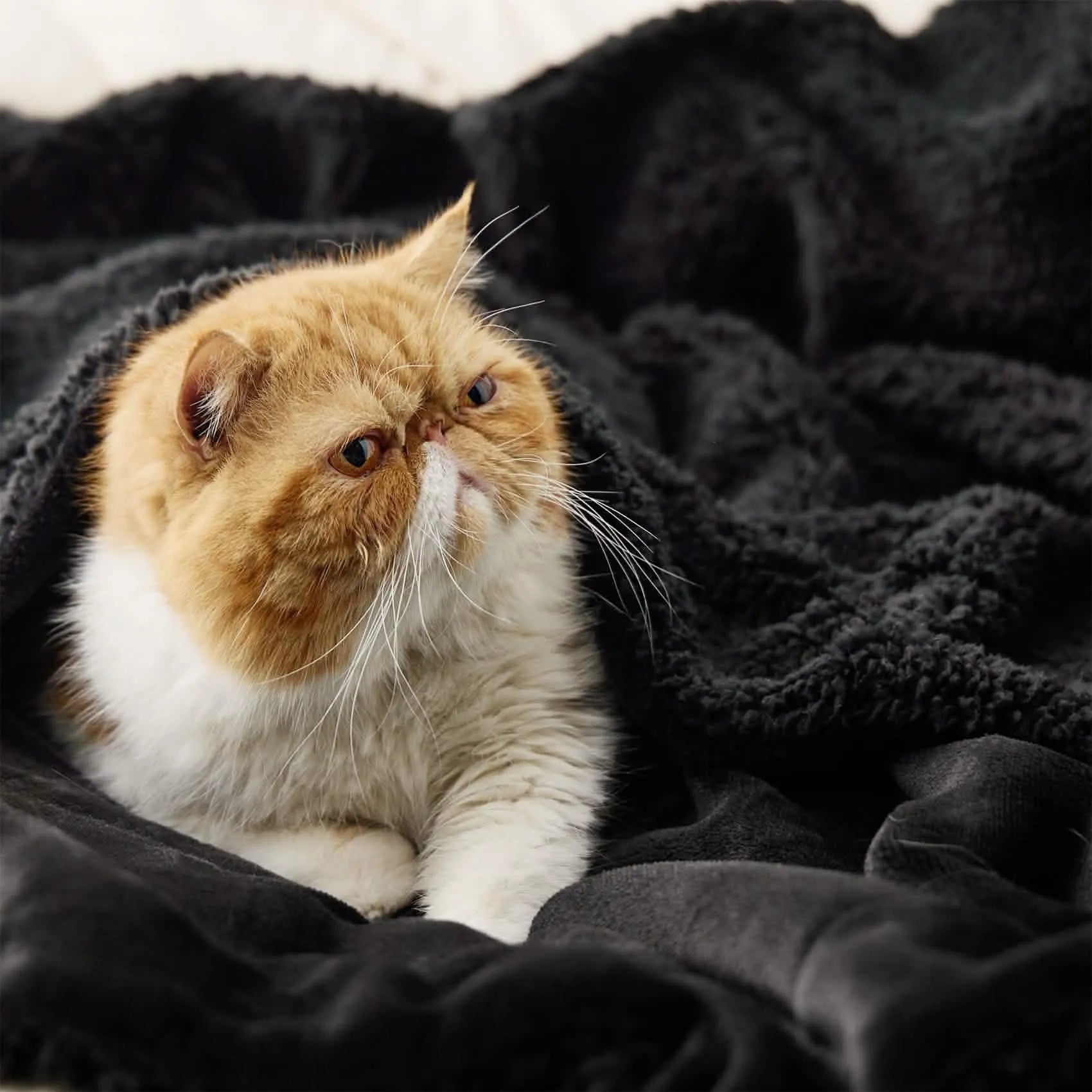 Cozy Sherpa Fleece Throw Blanket
