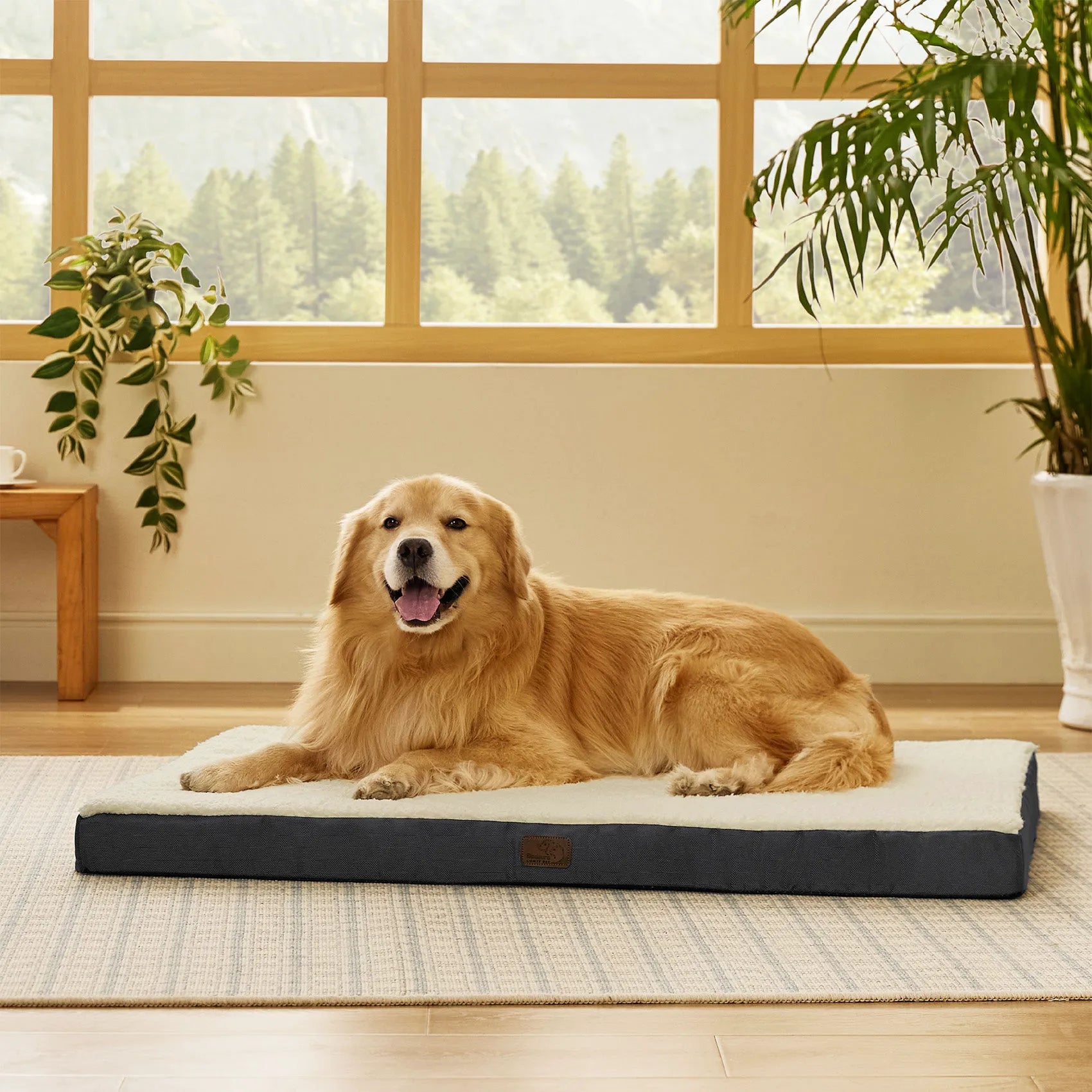 Large Washable Orthopedic Dog Bed