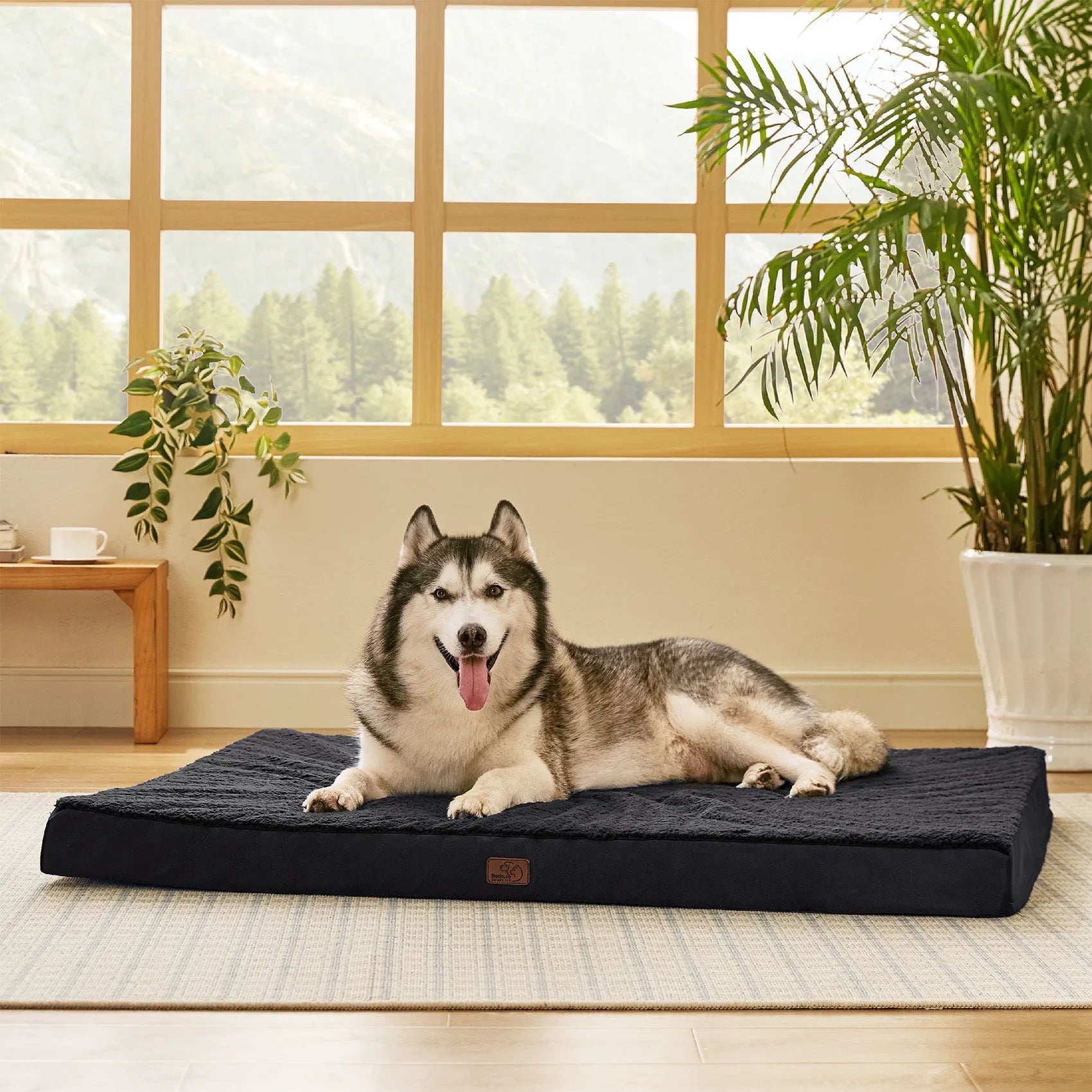 Large Washable Orthopedic Dog Bed
