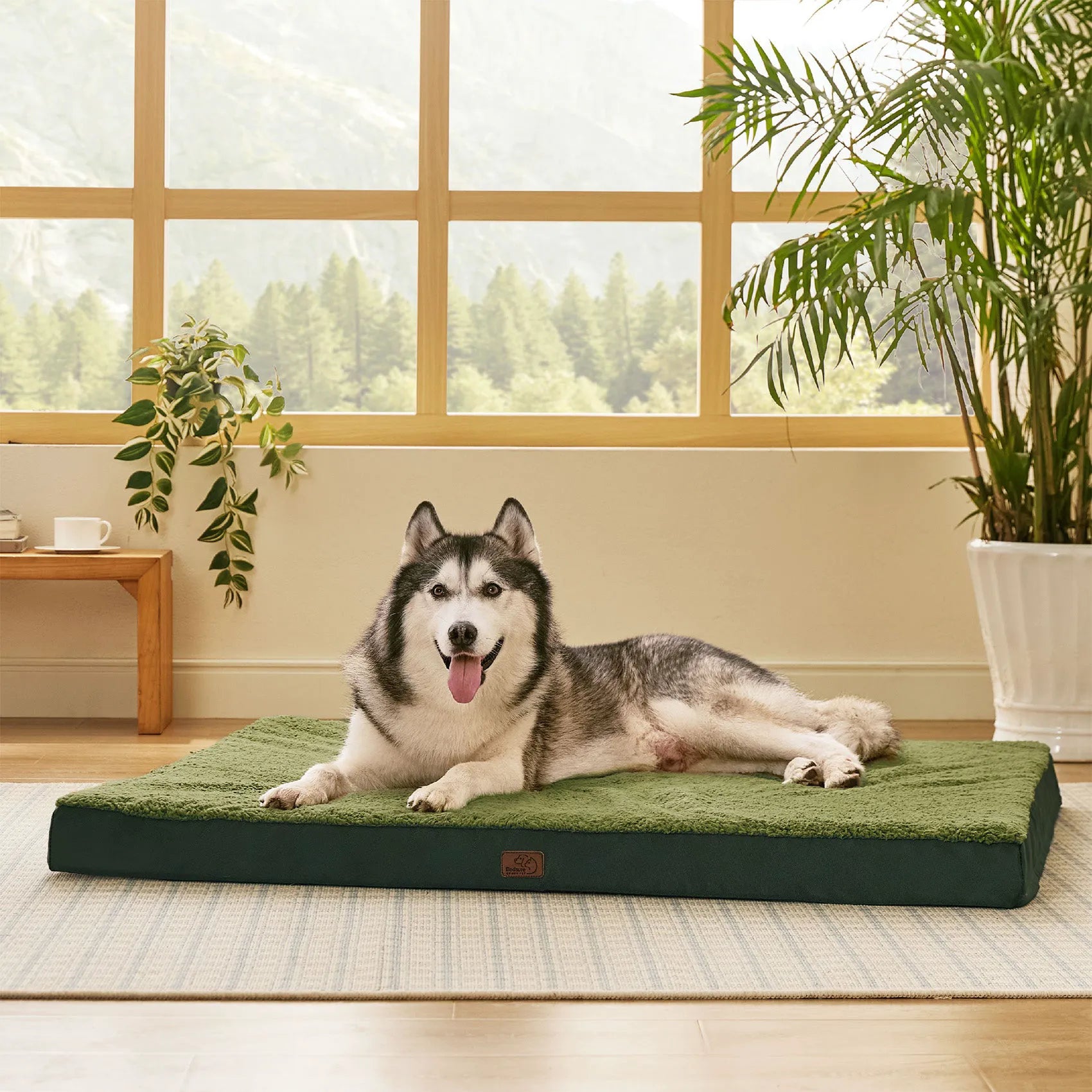 Large Washable Orthopedic Dog Bed