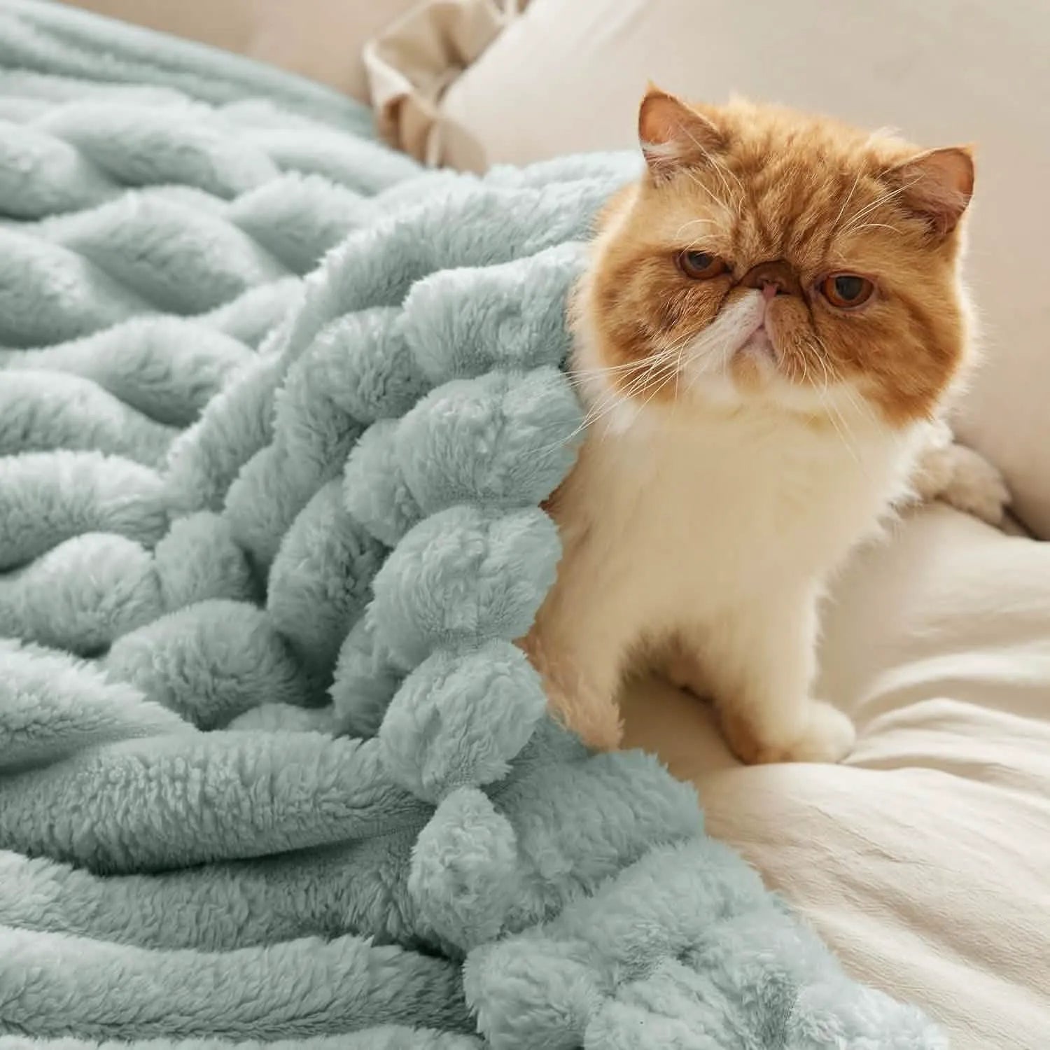 Luxplush Striped Throw Blanket
