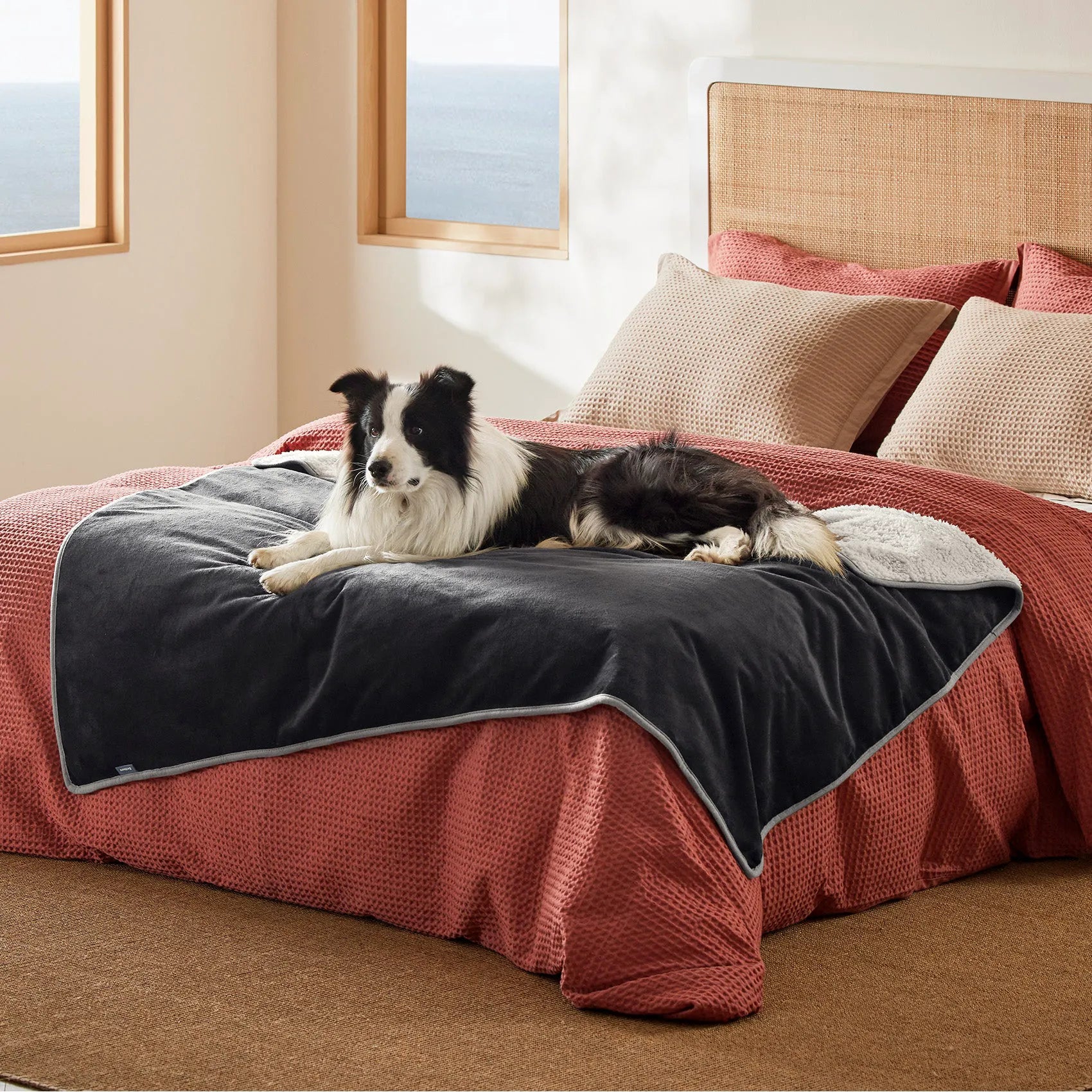 Reversible Sherpa & Microfiber Fleece Dog Blanket